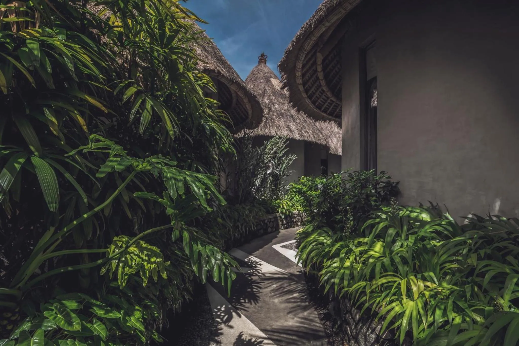 Area and facilities in Amarea Resort & Spa Ubud by Ini Vie Hospitality