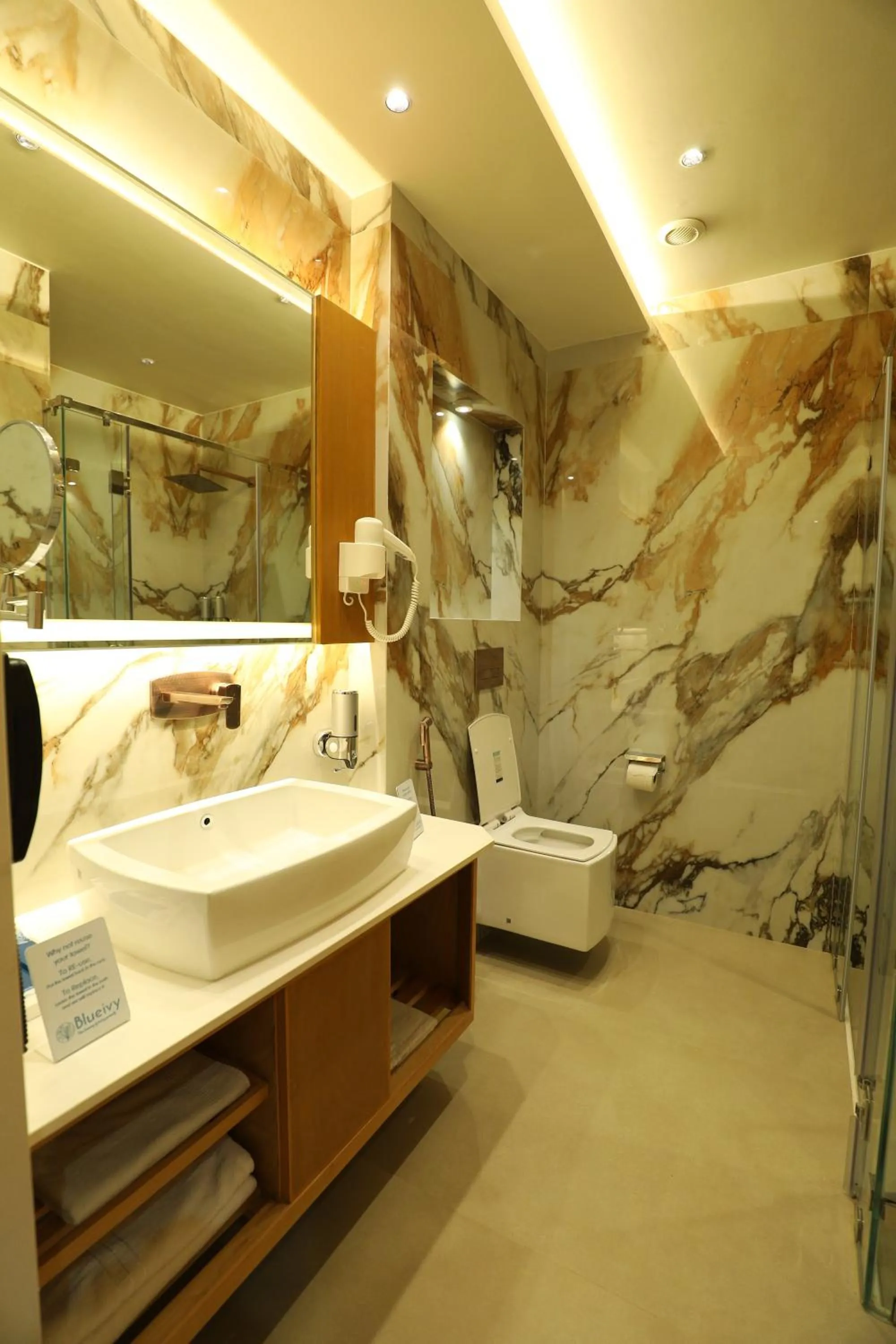 Toilet in Hotel Blueivy Anand