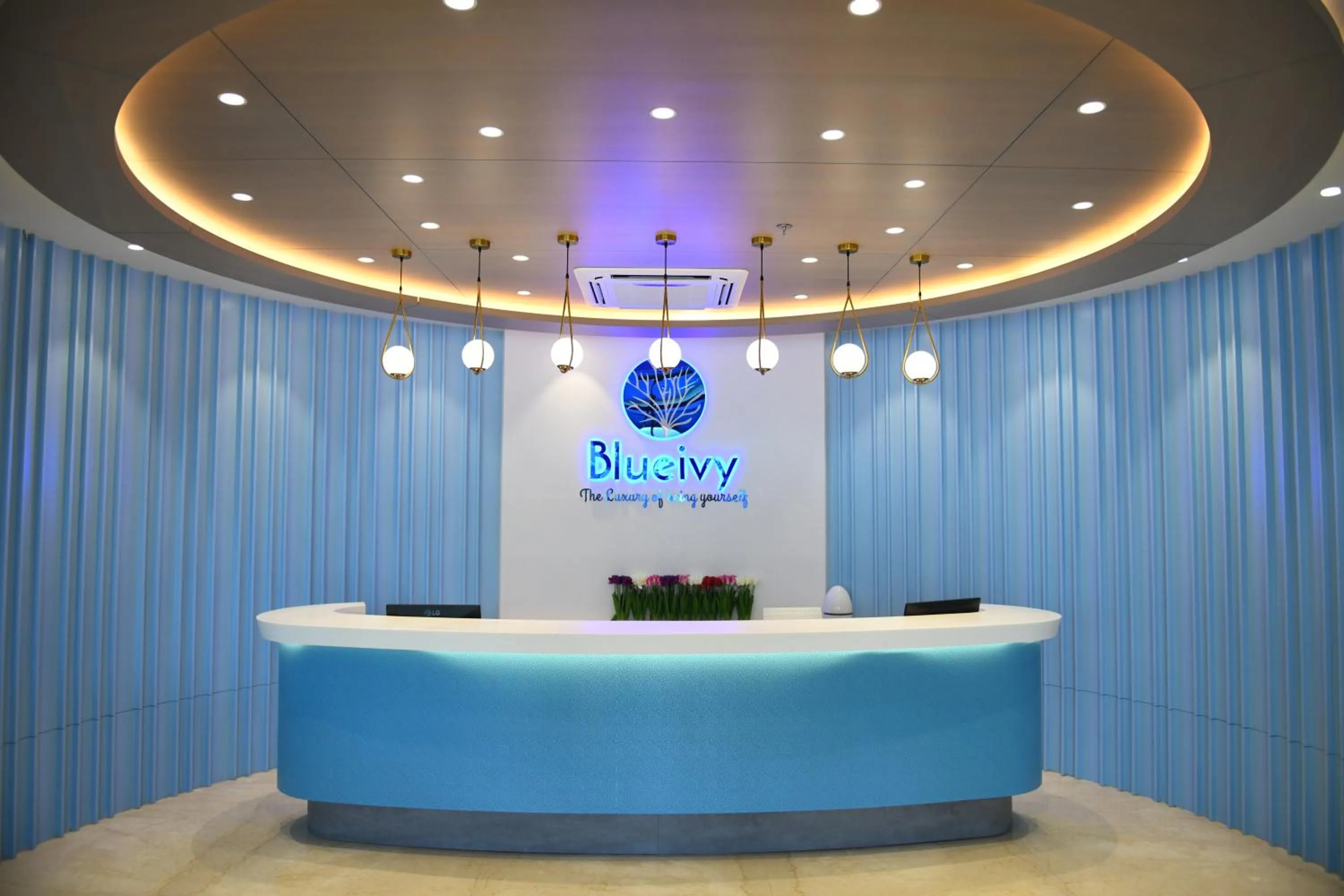 Property logo or sign in Hotel Blueivy Anand