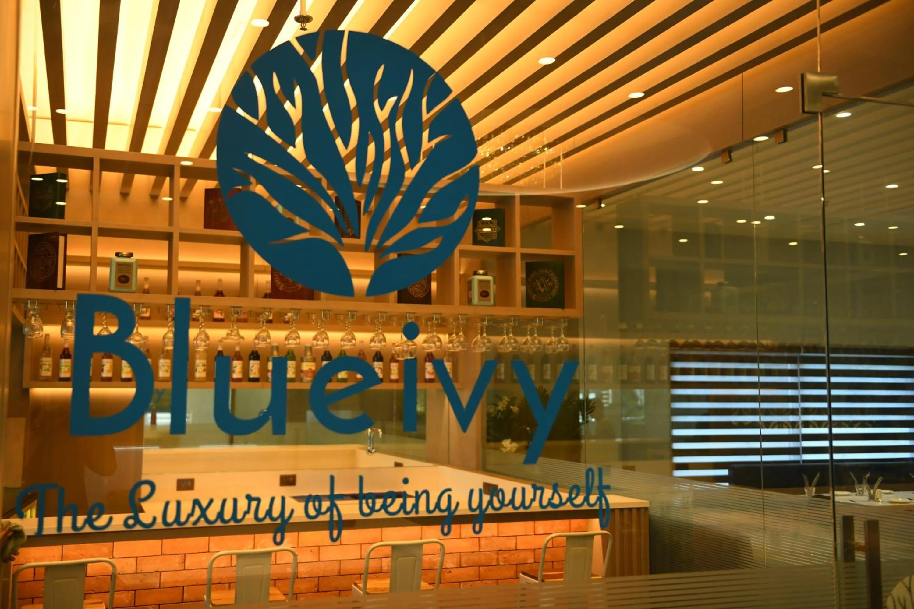 Property logo or sign in Hotel Blueivy Anand