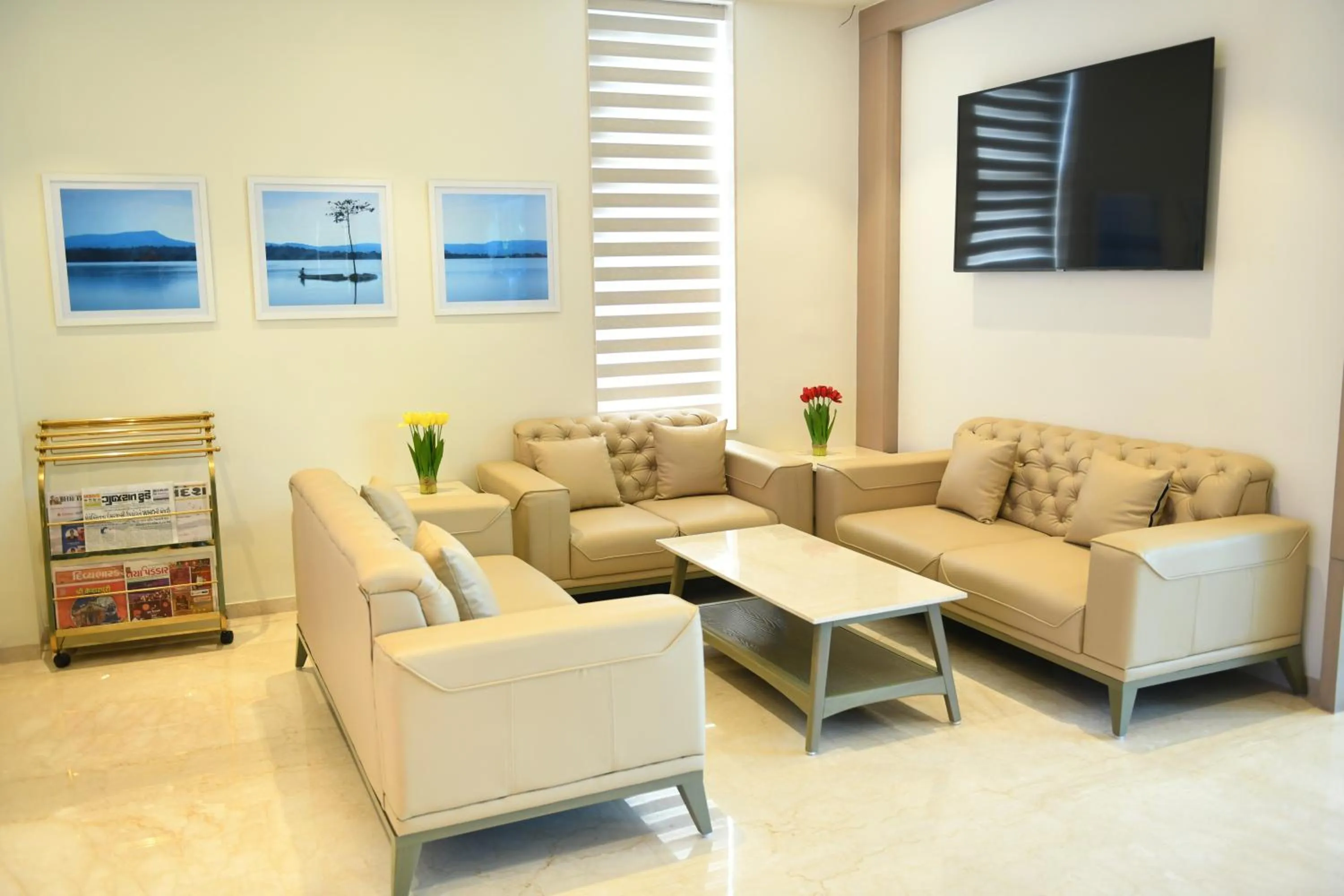 Living room in Hotel Blueivy Anand