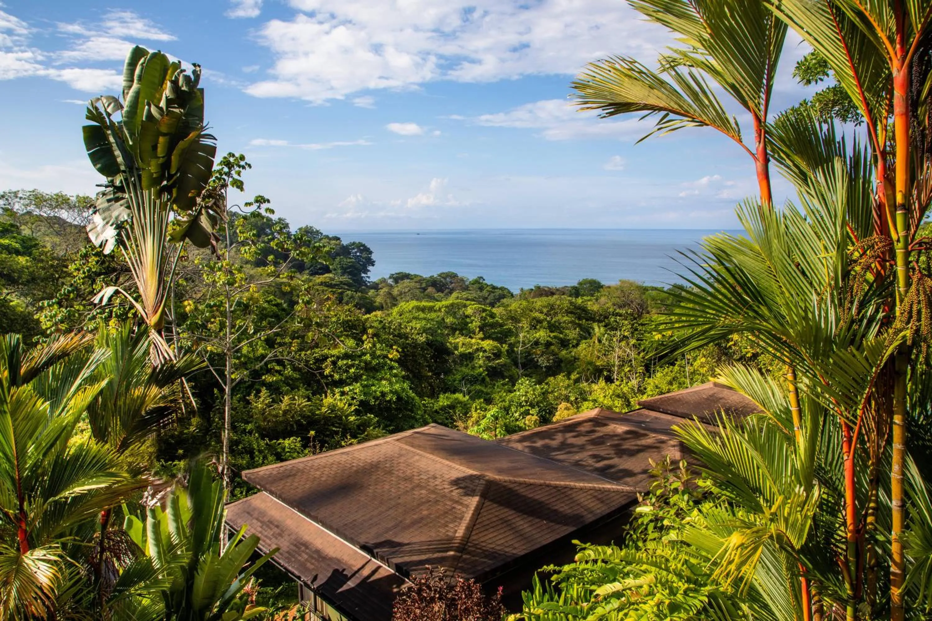 Sea view in Tiki Villas Rainforest Lodge - Adults Only