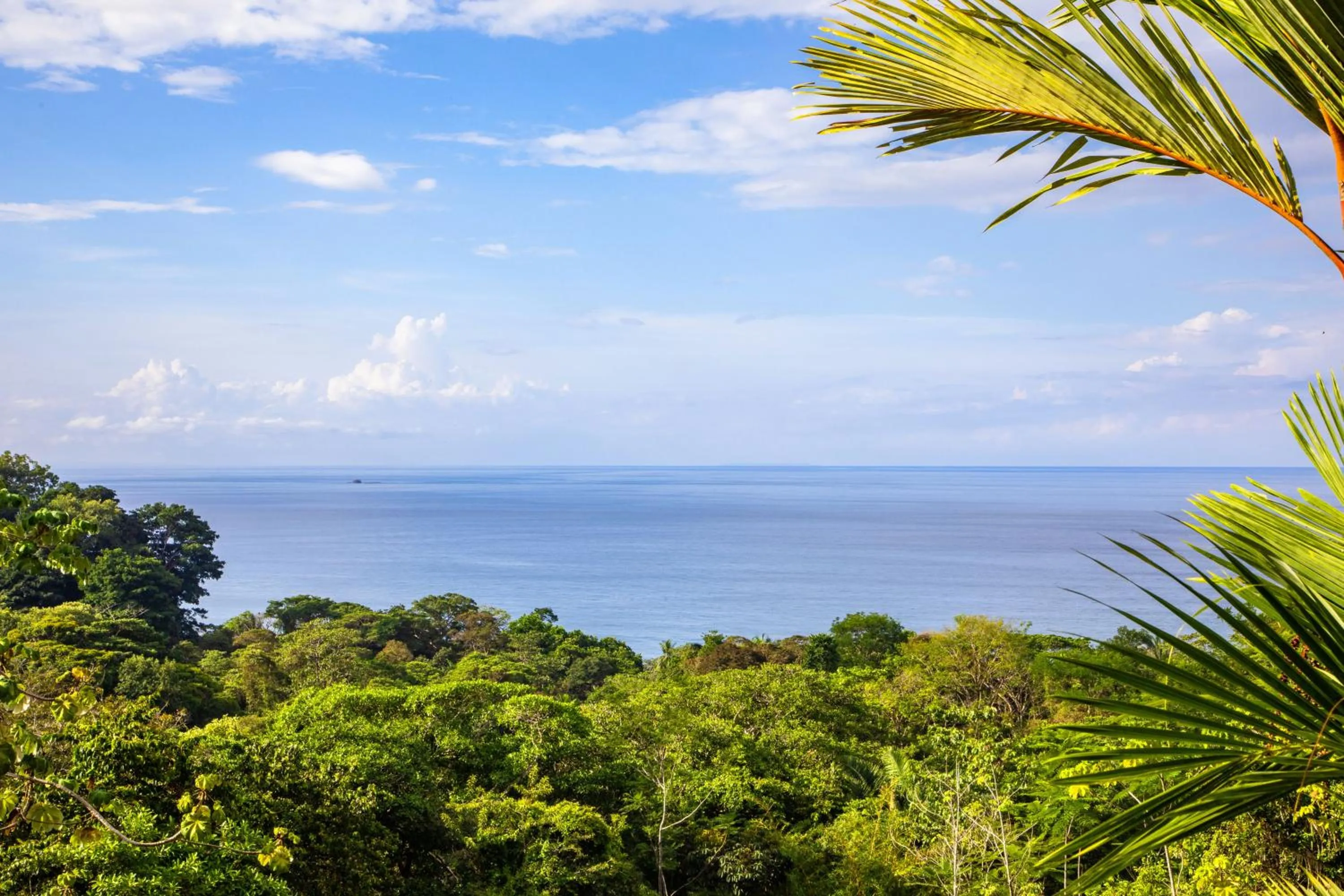 Day in Tiki Villas Rainforest Lodge - Adults Only