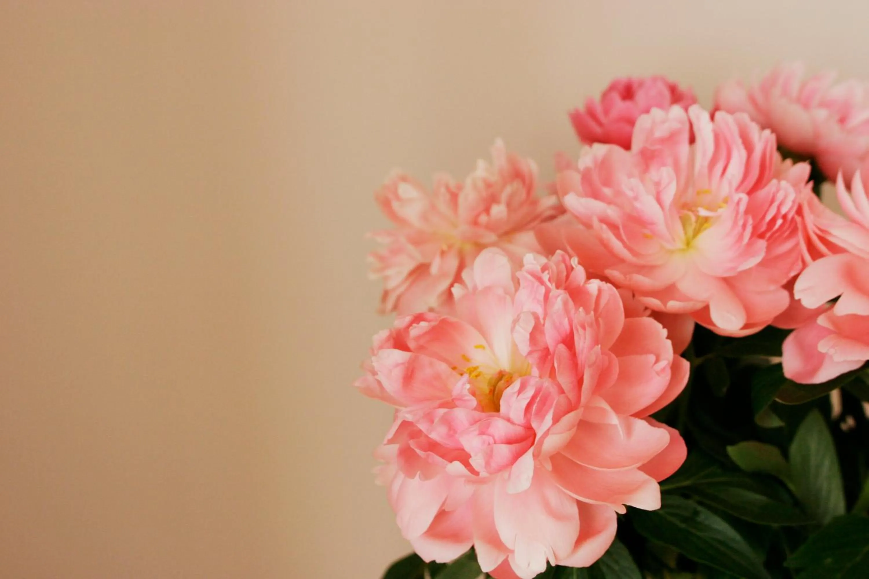 Decorative detail in Roman Suite