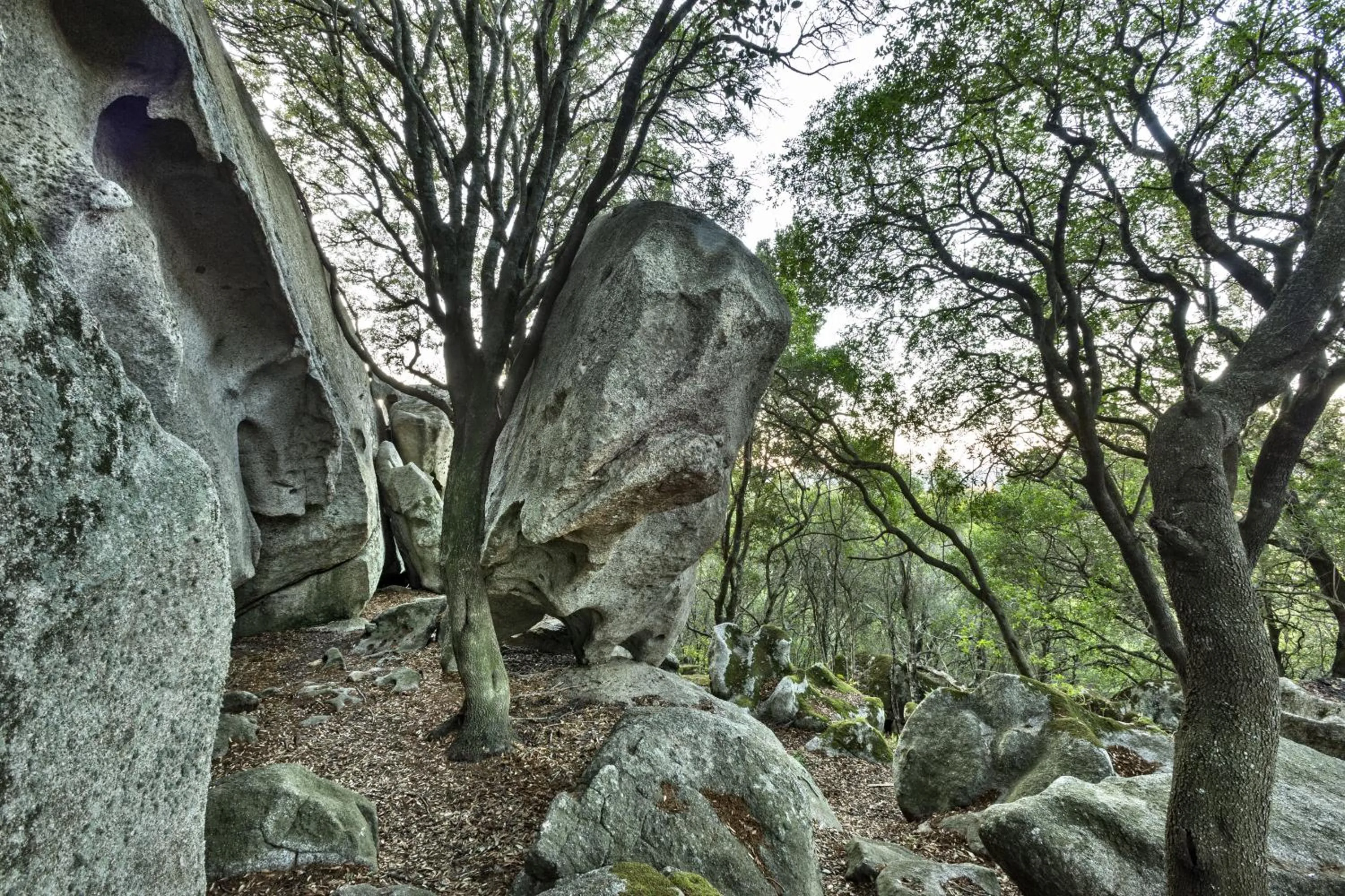 Day in Gallicantu Stazzo Retreat