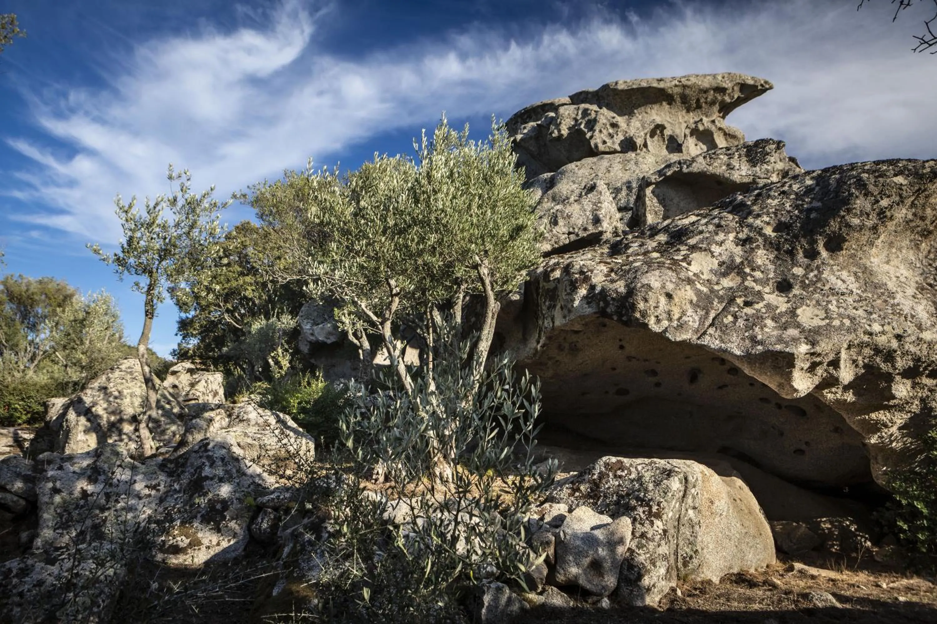 Day in Gallicantu Stazzo Retreat