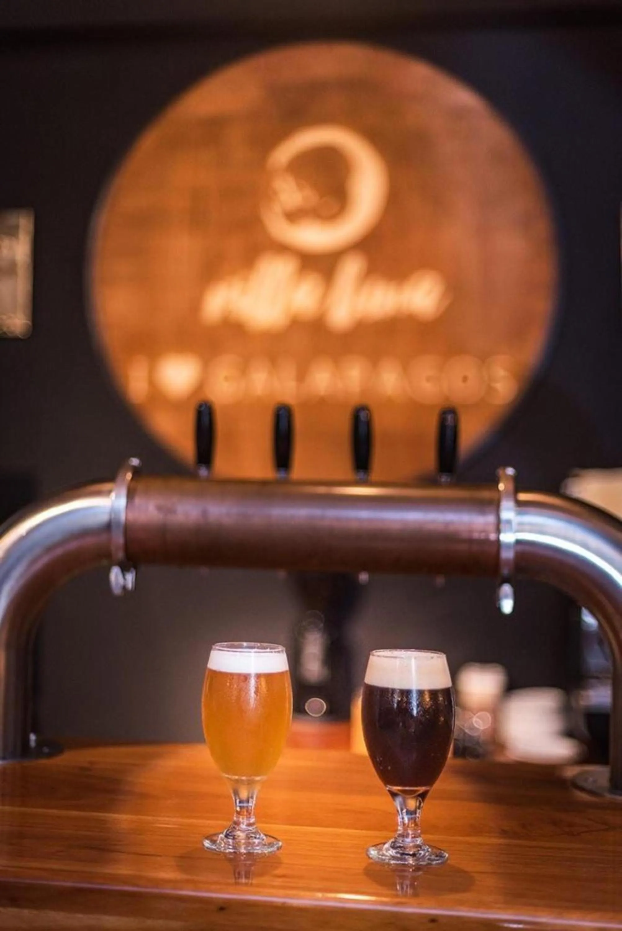 Property logo or sign in Galapagos Native