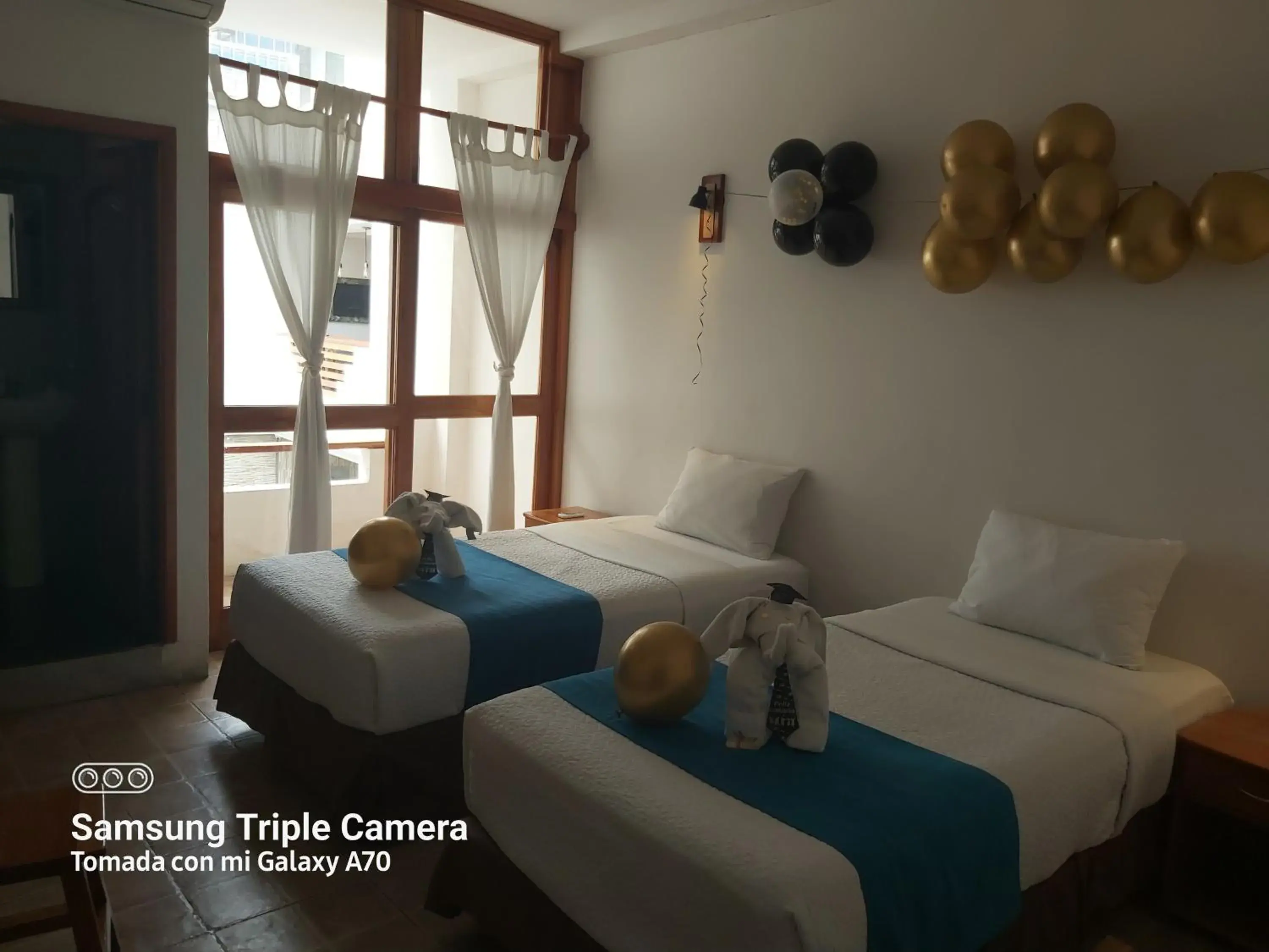 Standard Twin Room in Galapagos Native Standard Twin Room in Galapagos Native