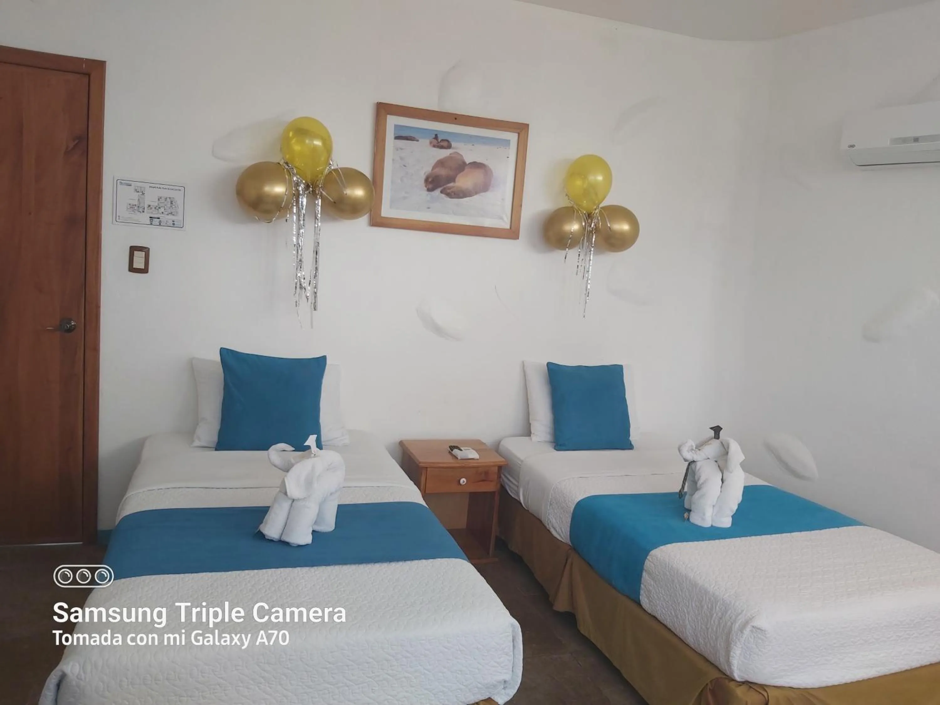 Bed in Galapagos Native