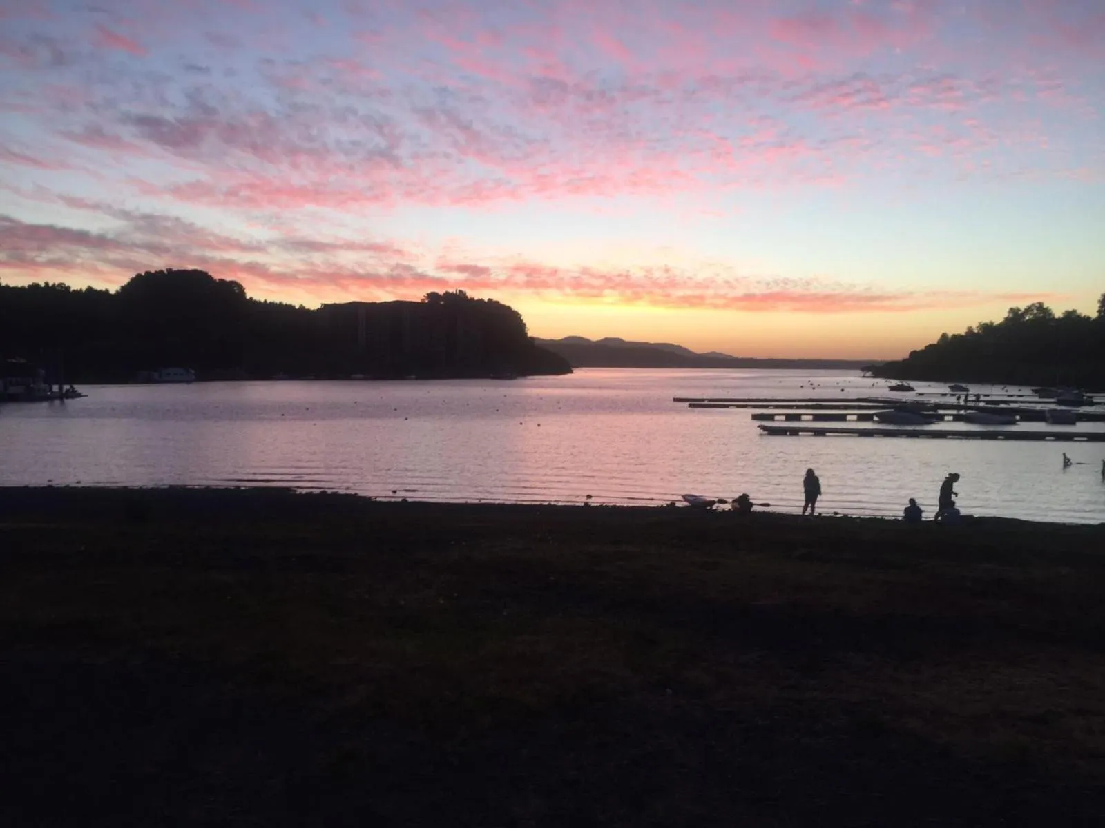 Natural landscape in Hostel Raíz