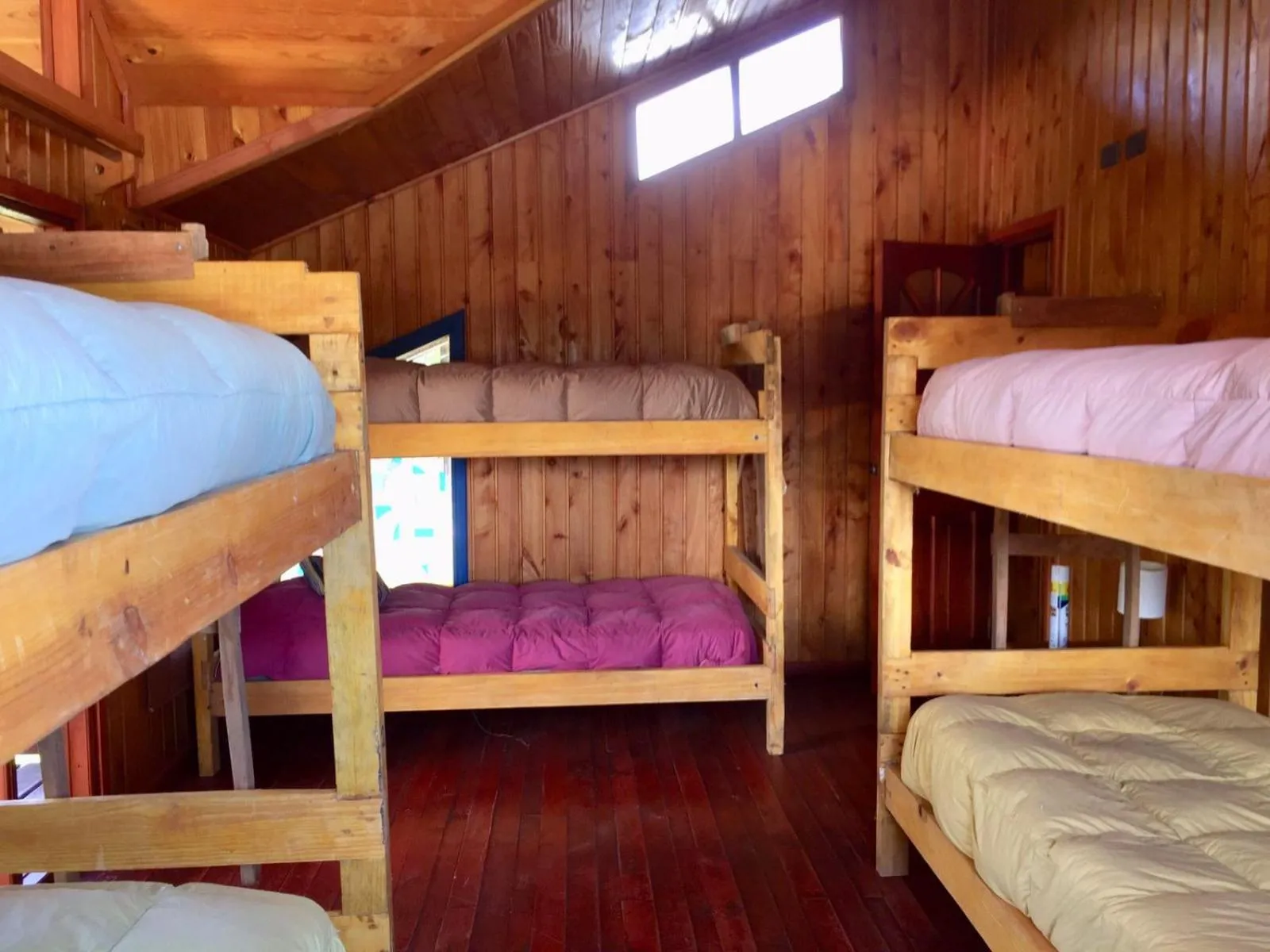 bunk bed, Bed in Hostel Raíz