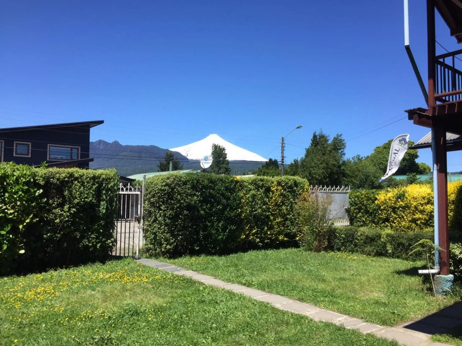 Garden in Hostel Raíz