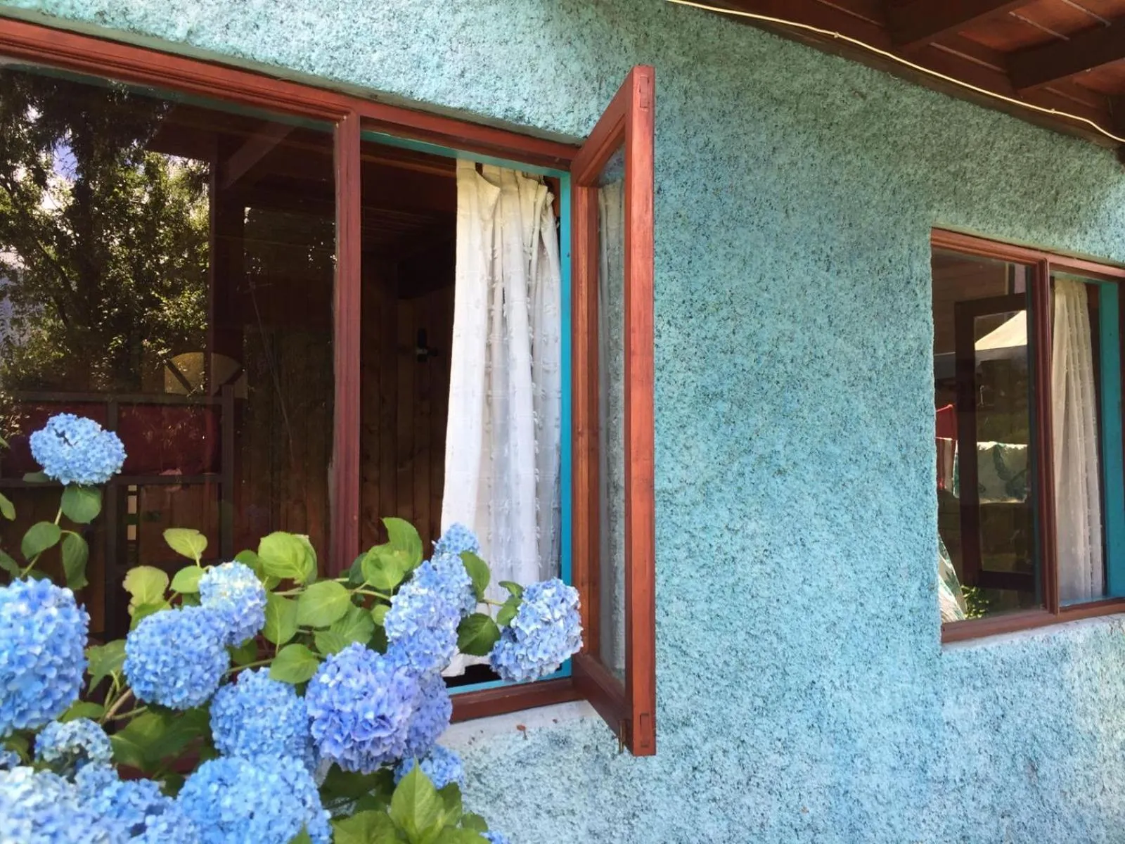 Patio in Hostel Raíz