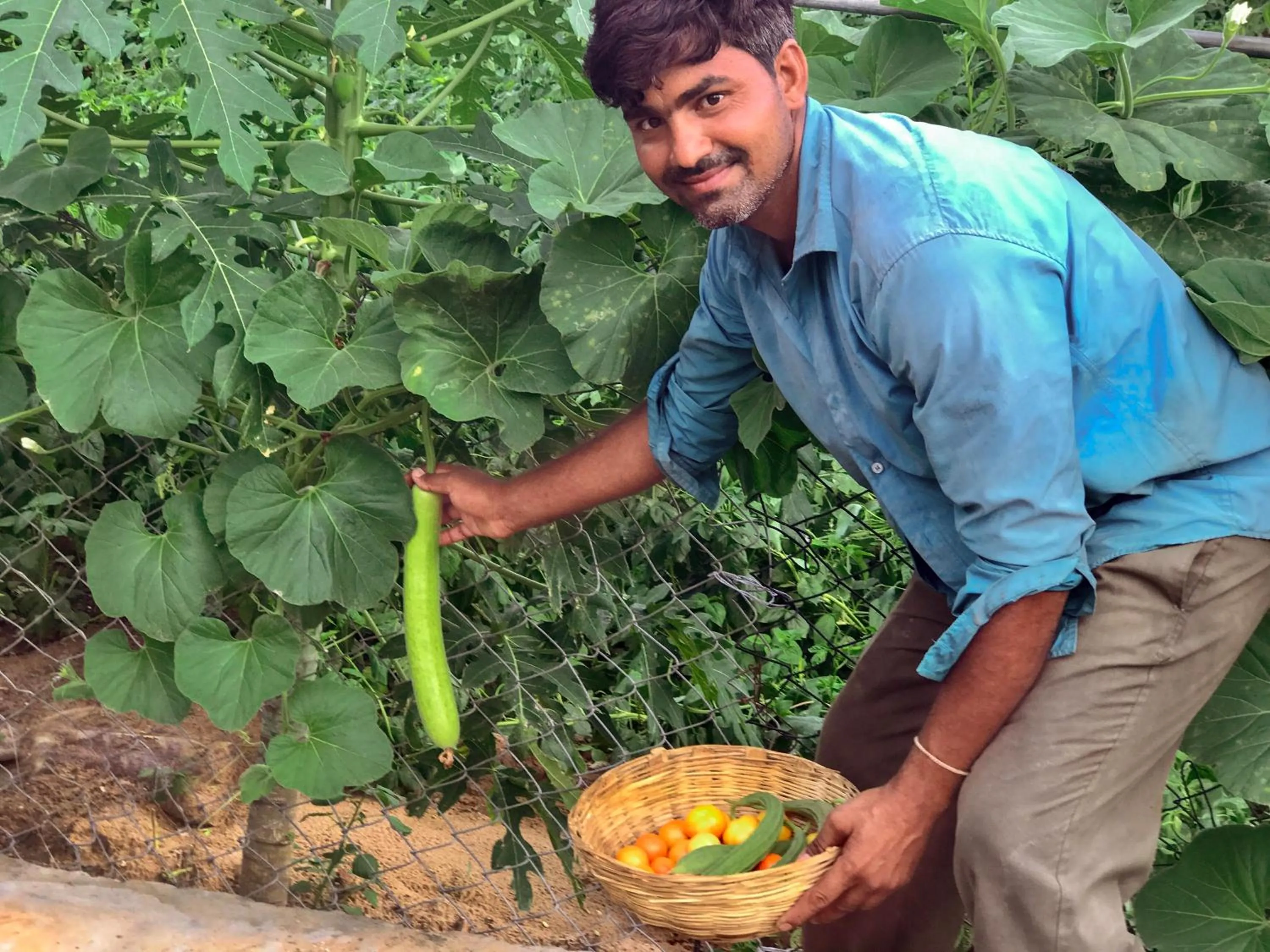 Staff in PushkarOrganic - Lux farm resort with pool