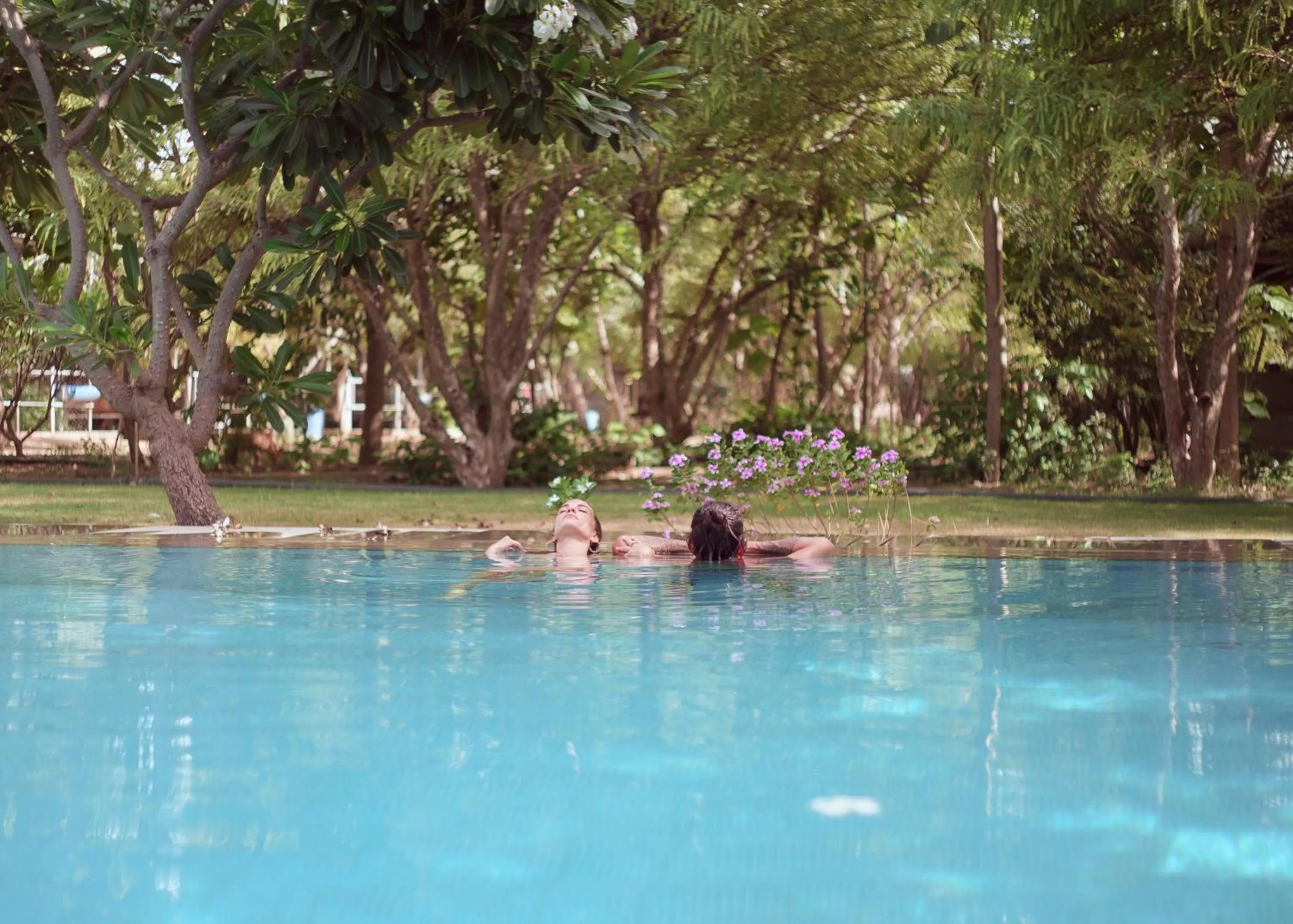 Swimming pool in PushkarOrganic - Lux farm resort with pool