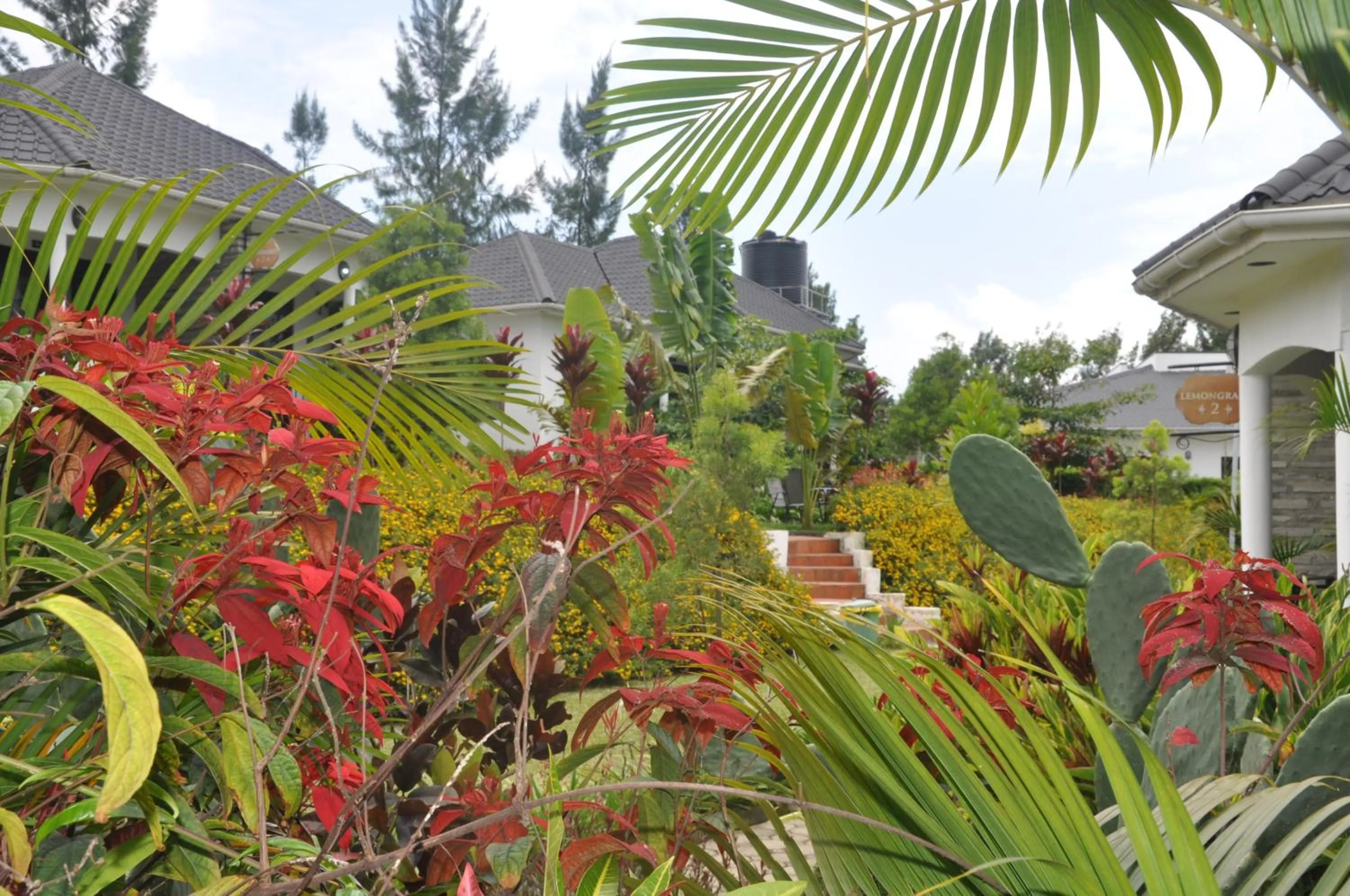 Garden in Home Bliss Hotel- Fort portal Uganda