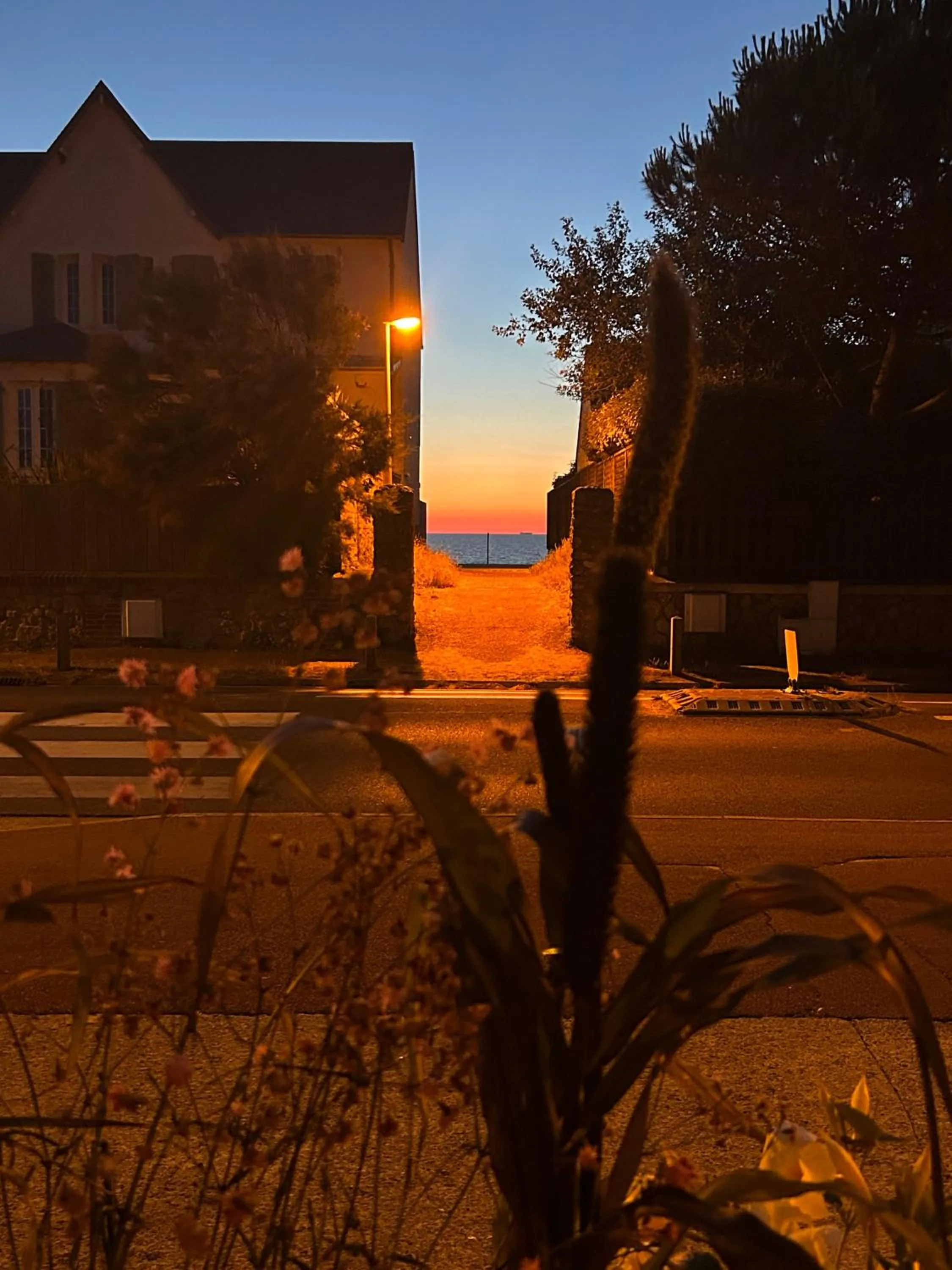 Natural landscape in Hôtel De La Mer - Deauville Blonville - Boutique Hôtel de charme vue Mer ou Campagne - Accès direct plage