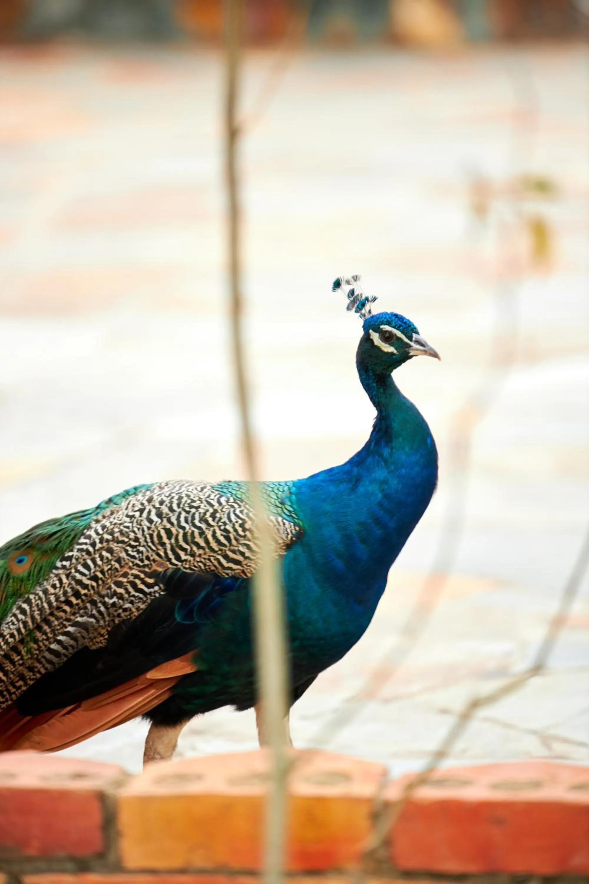 The Haven Boutique Hotel