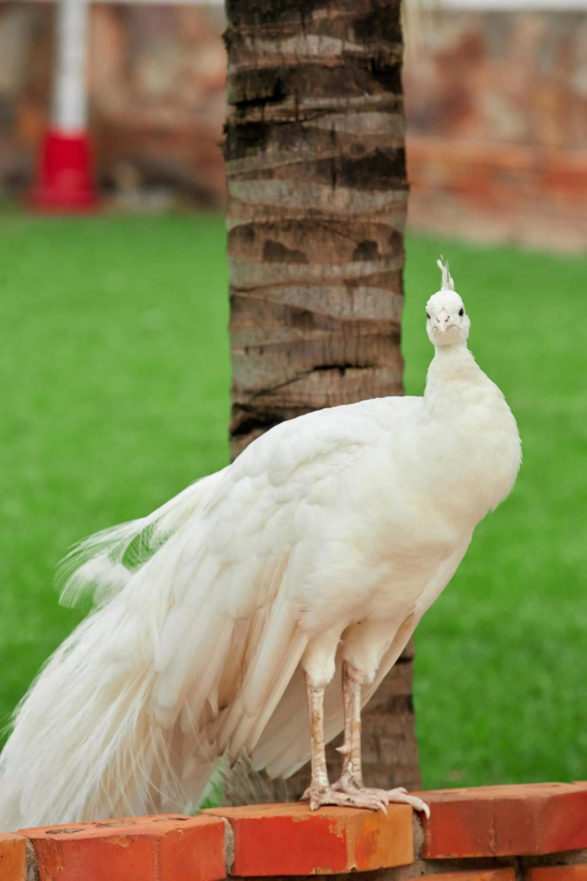 The Haven Boutique Hotel