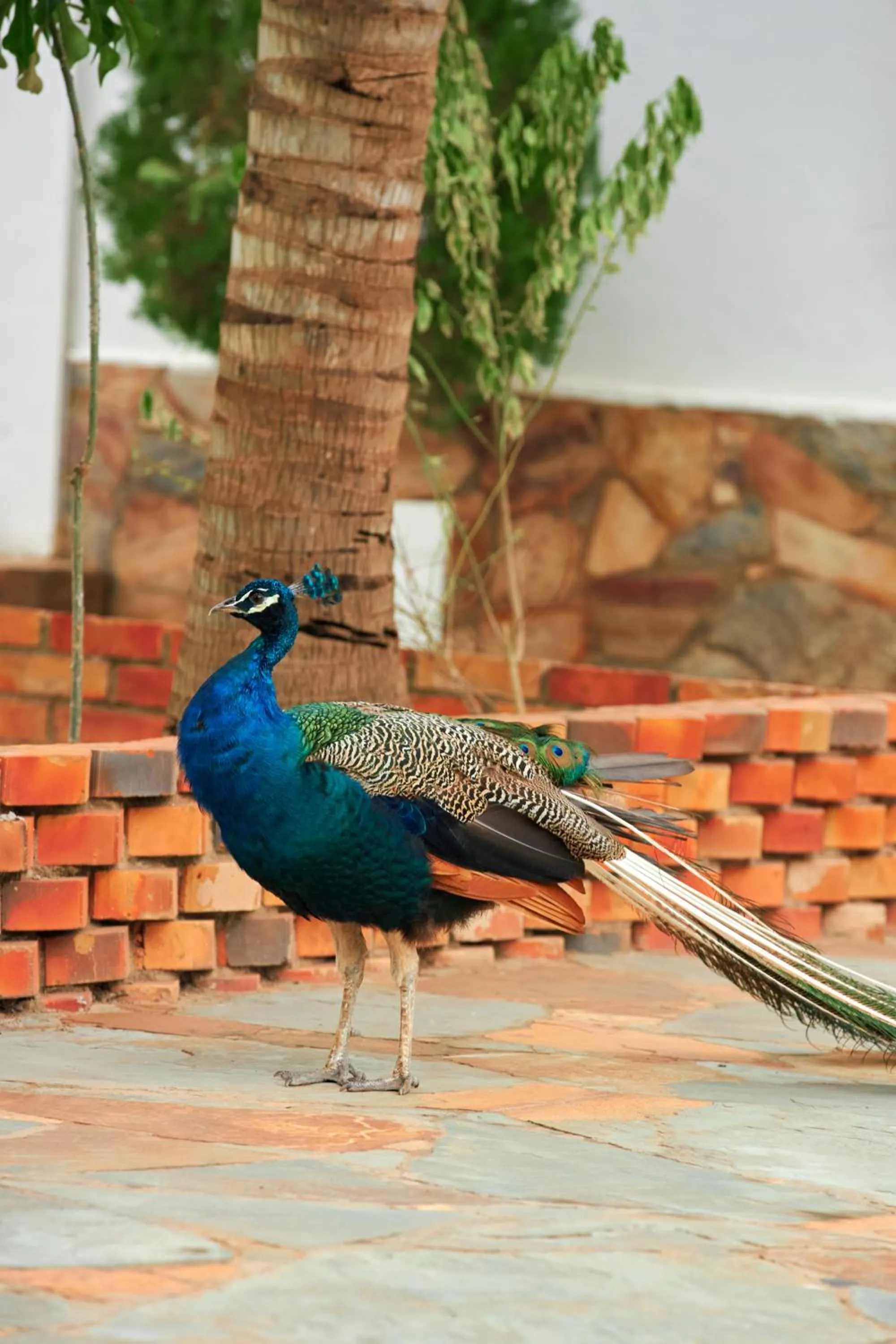 The Haven Boutique Hotel