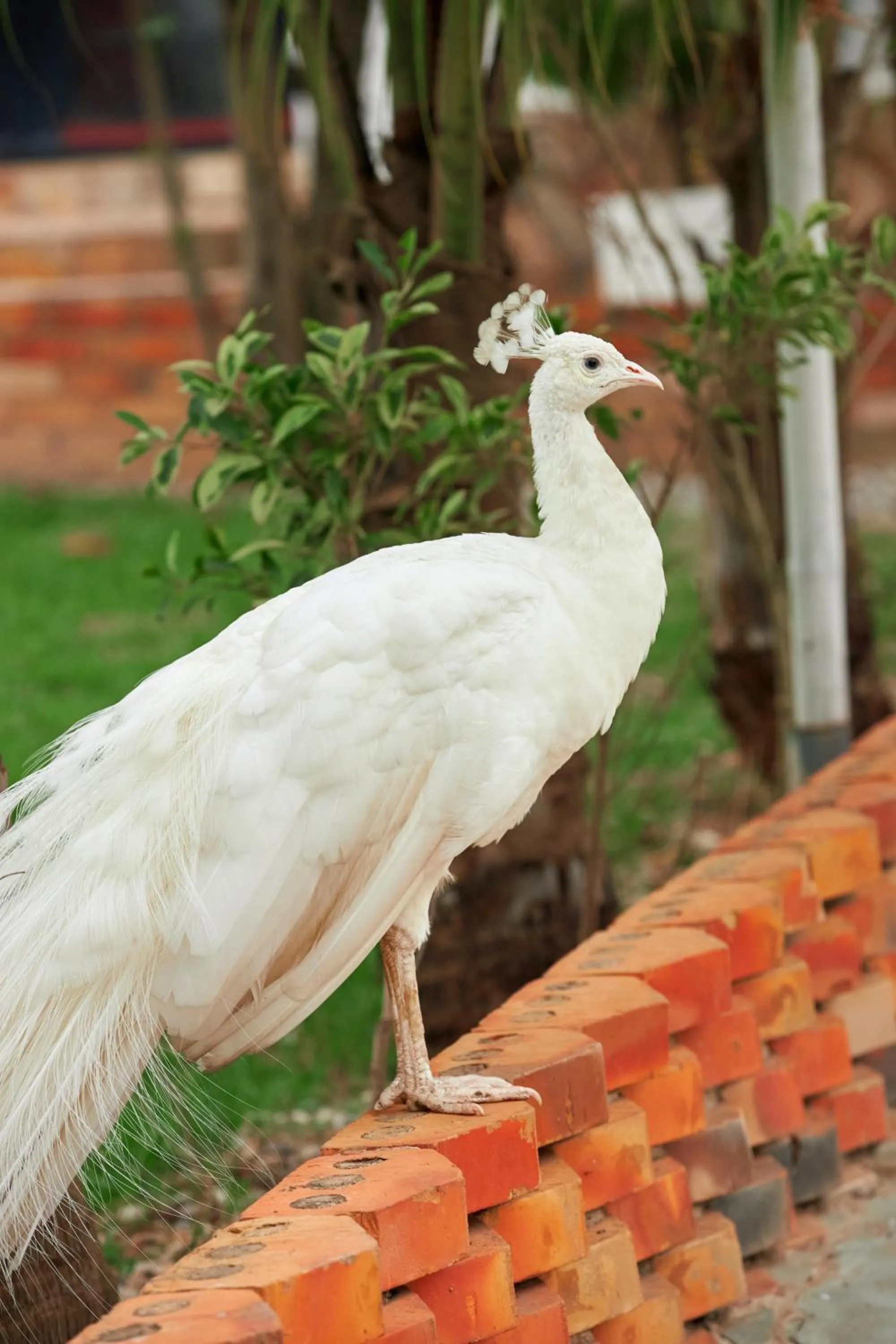 The Haven Boutique Hotel