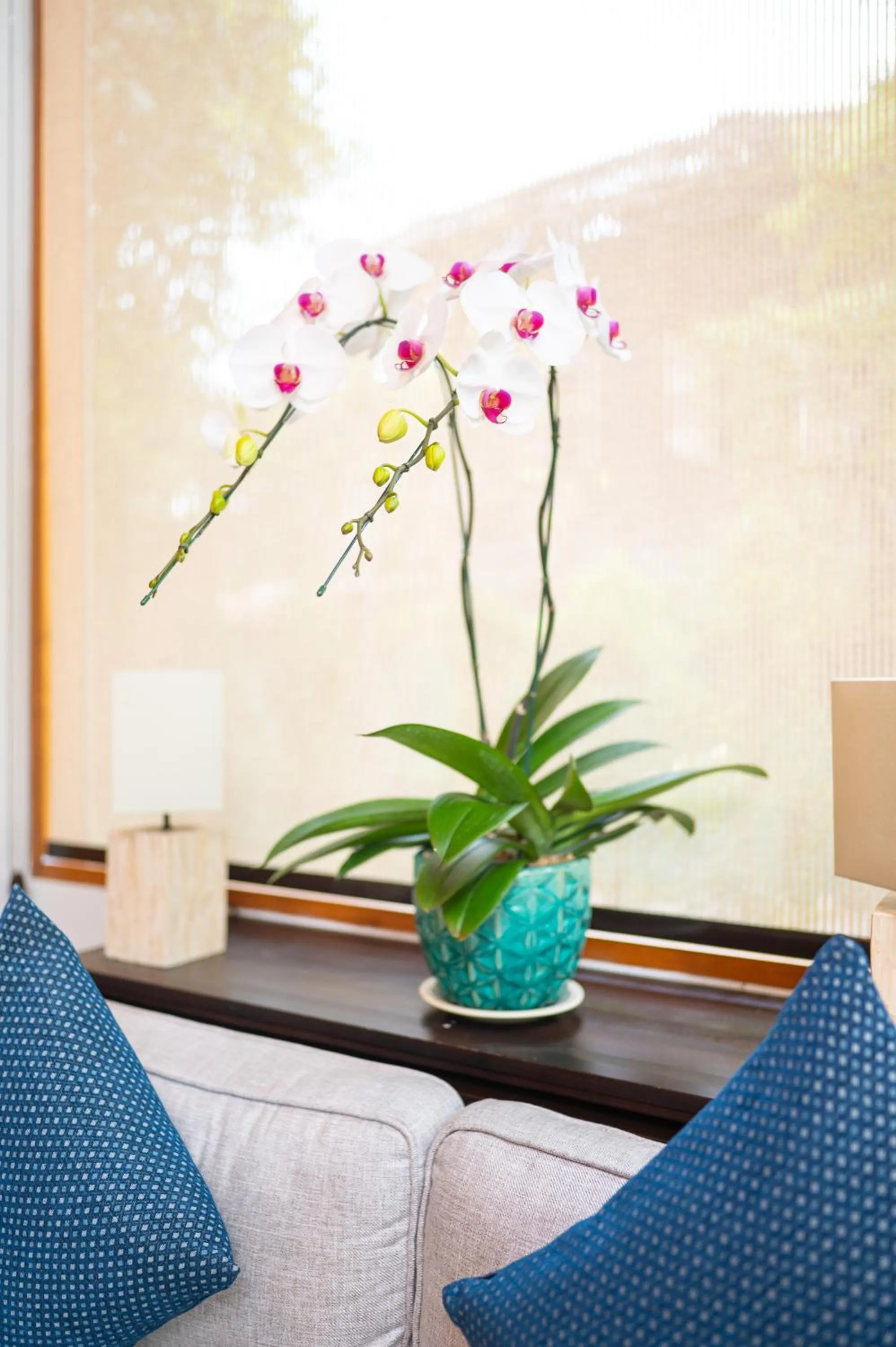 At Gate Thaphae Hotel