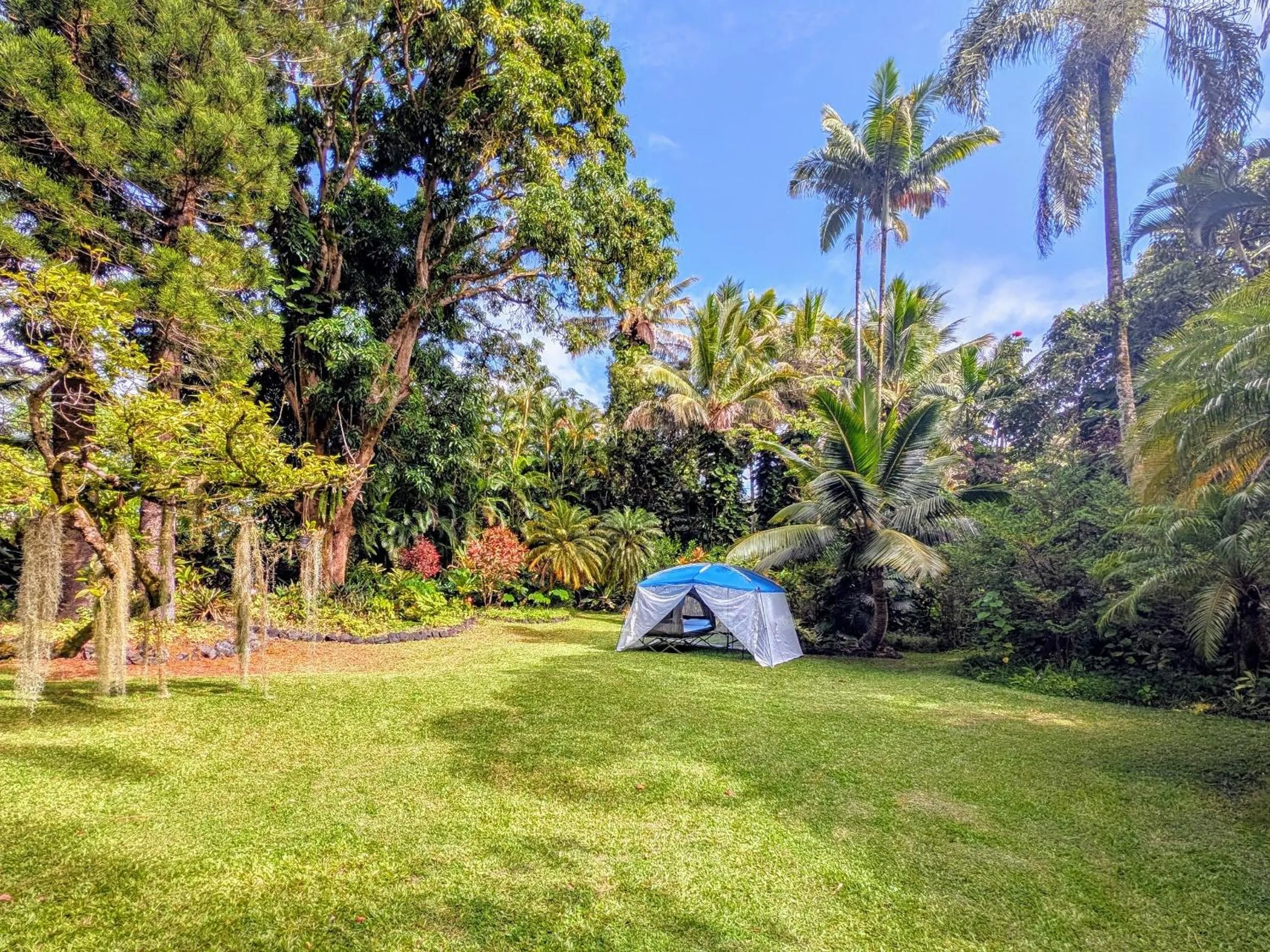 View (from property/room) in Kehena Mauka Nui Club LGBTQIA+ Clothing Optional