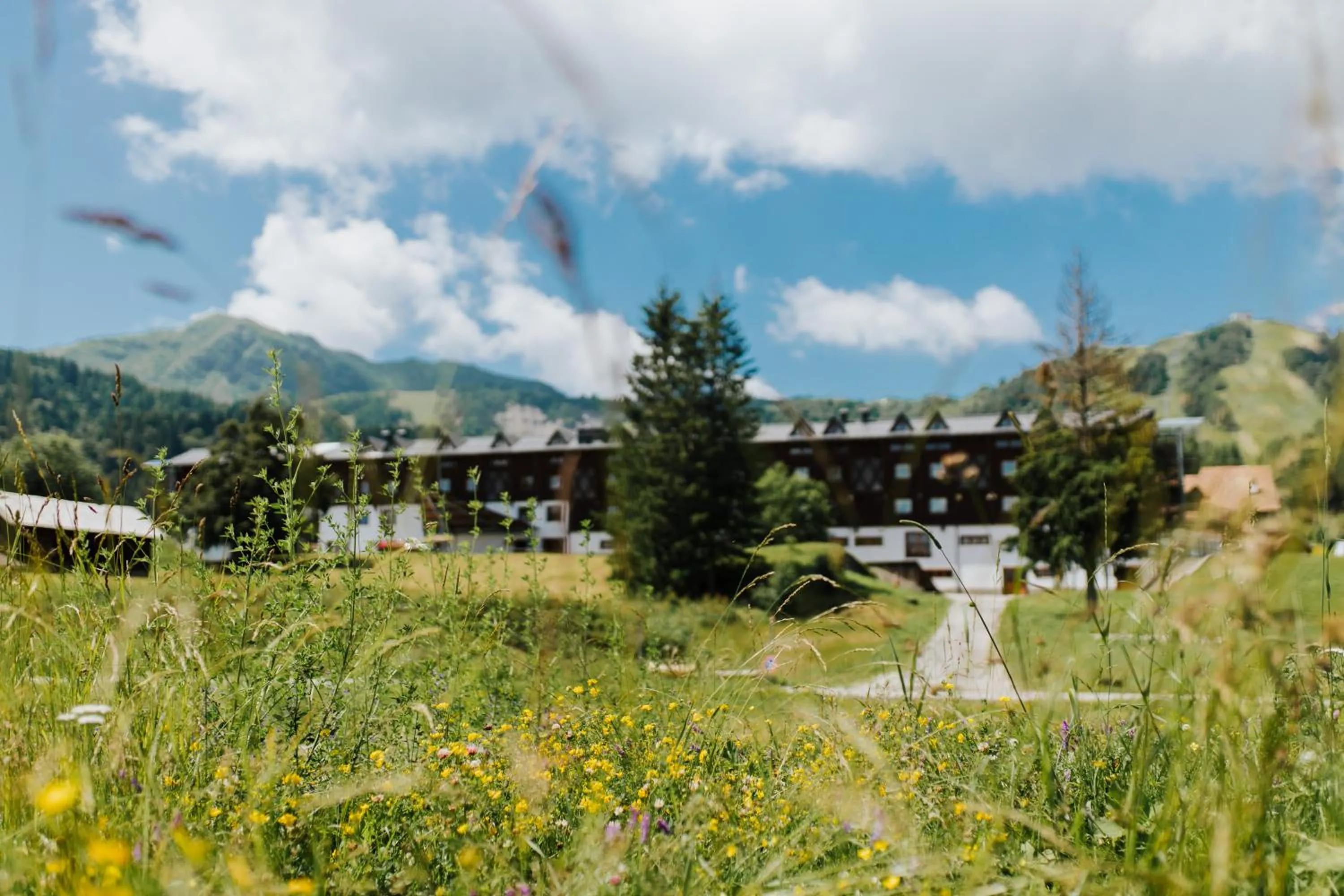 Property building in Hotel Enzo Moro