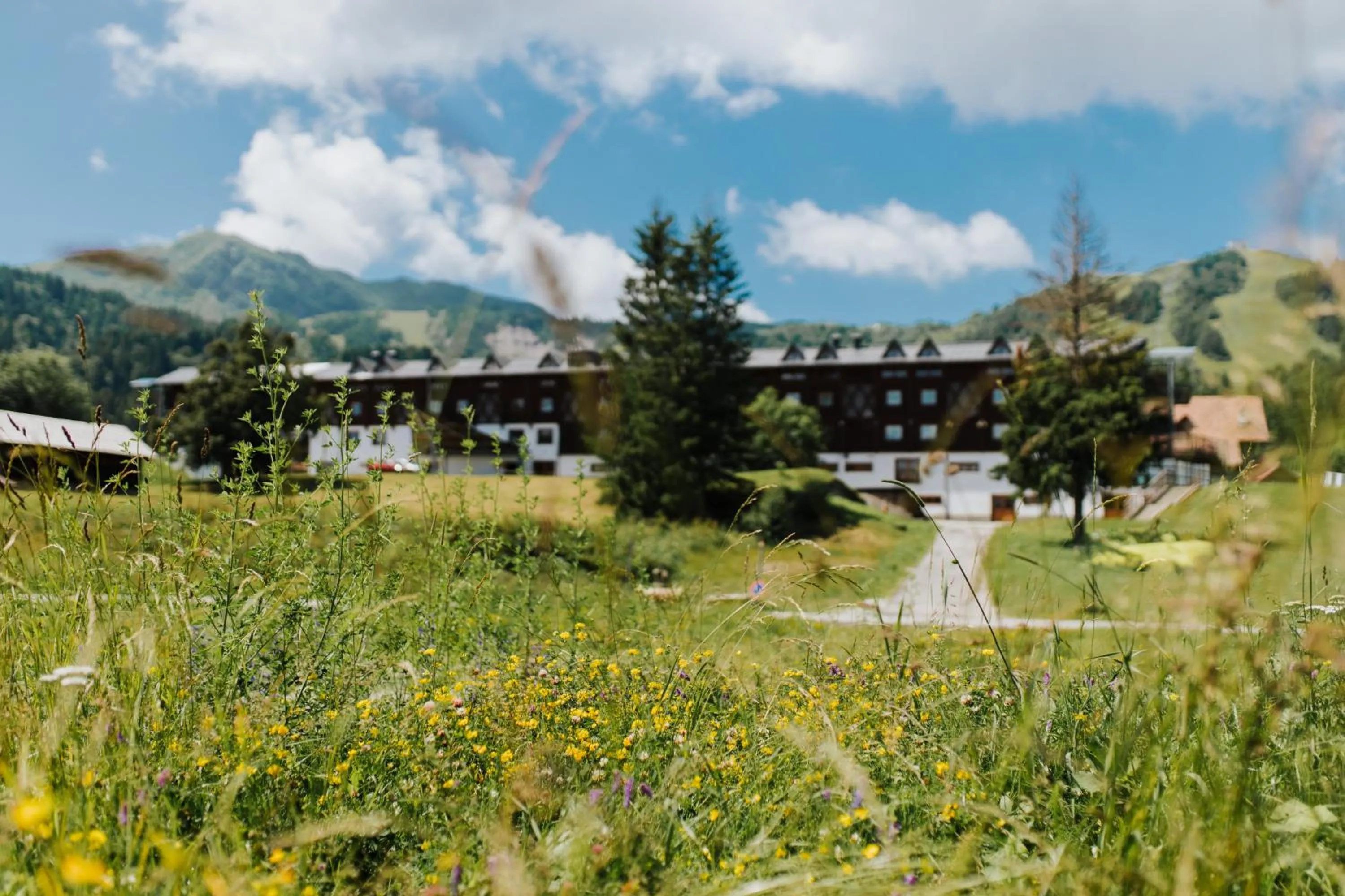 Property building in Hotel Enzo Moro