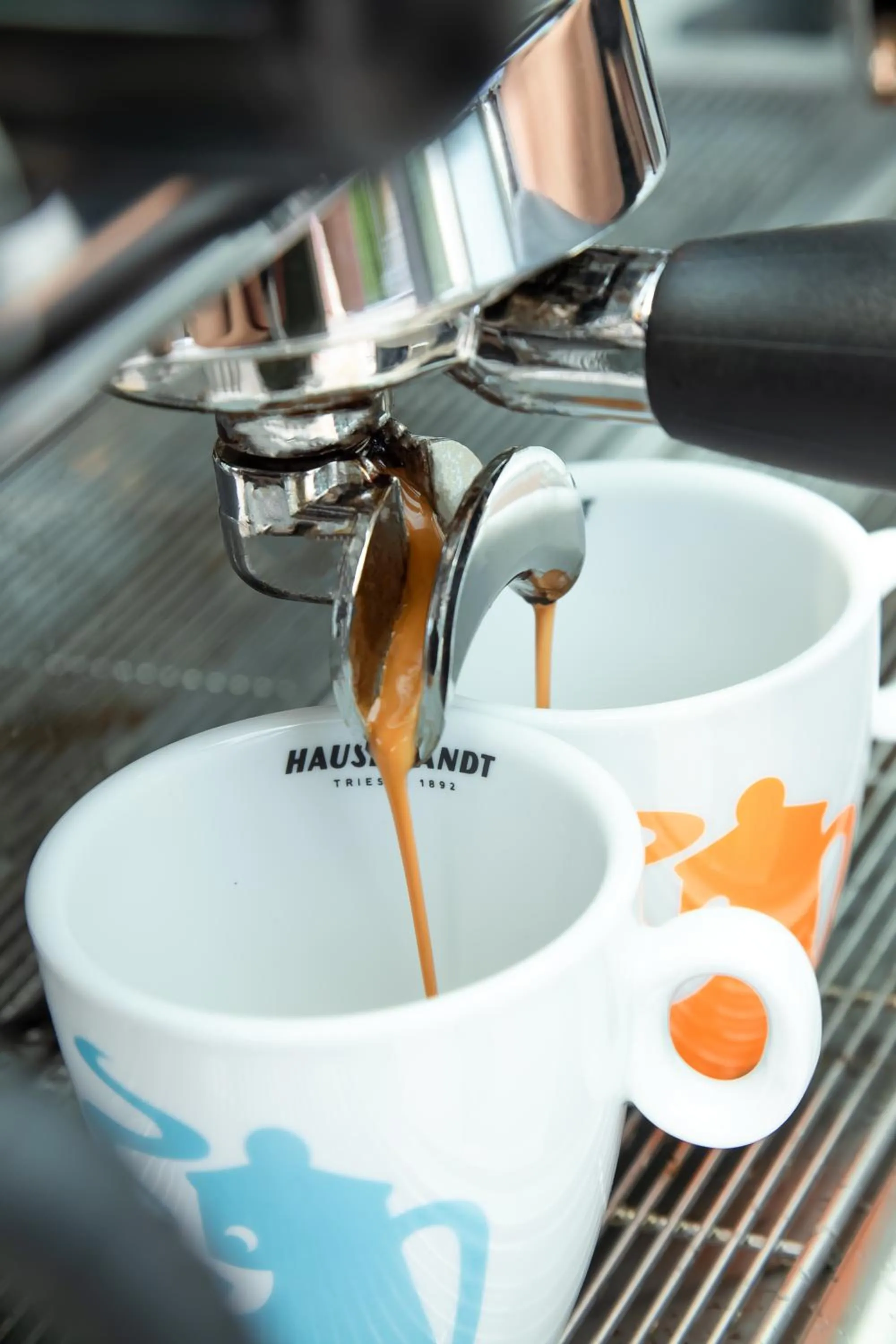 Breakfast in Hotel Enzo Moro