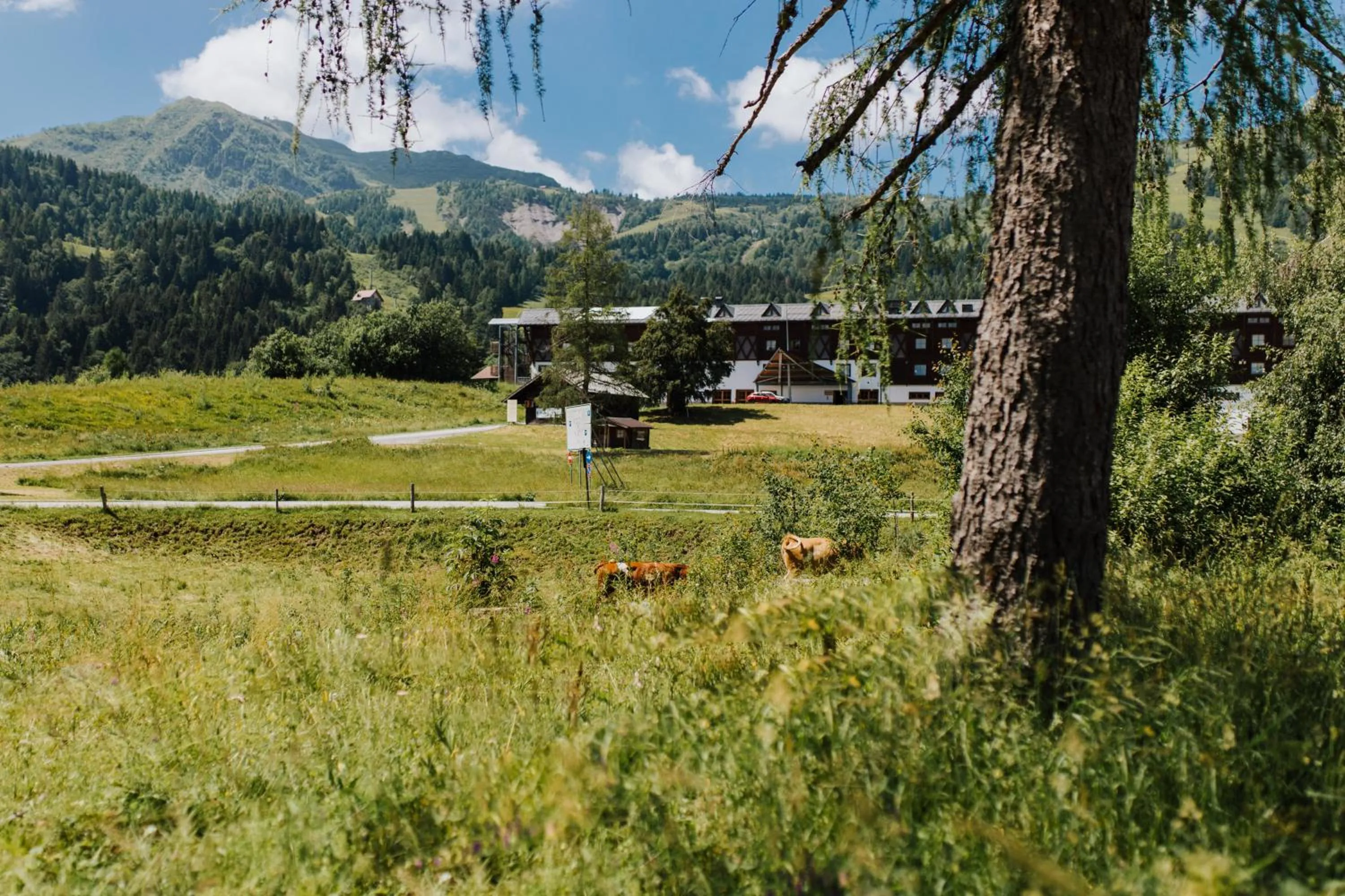 Property building in Hotel Enzo Moro