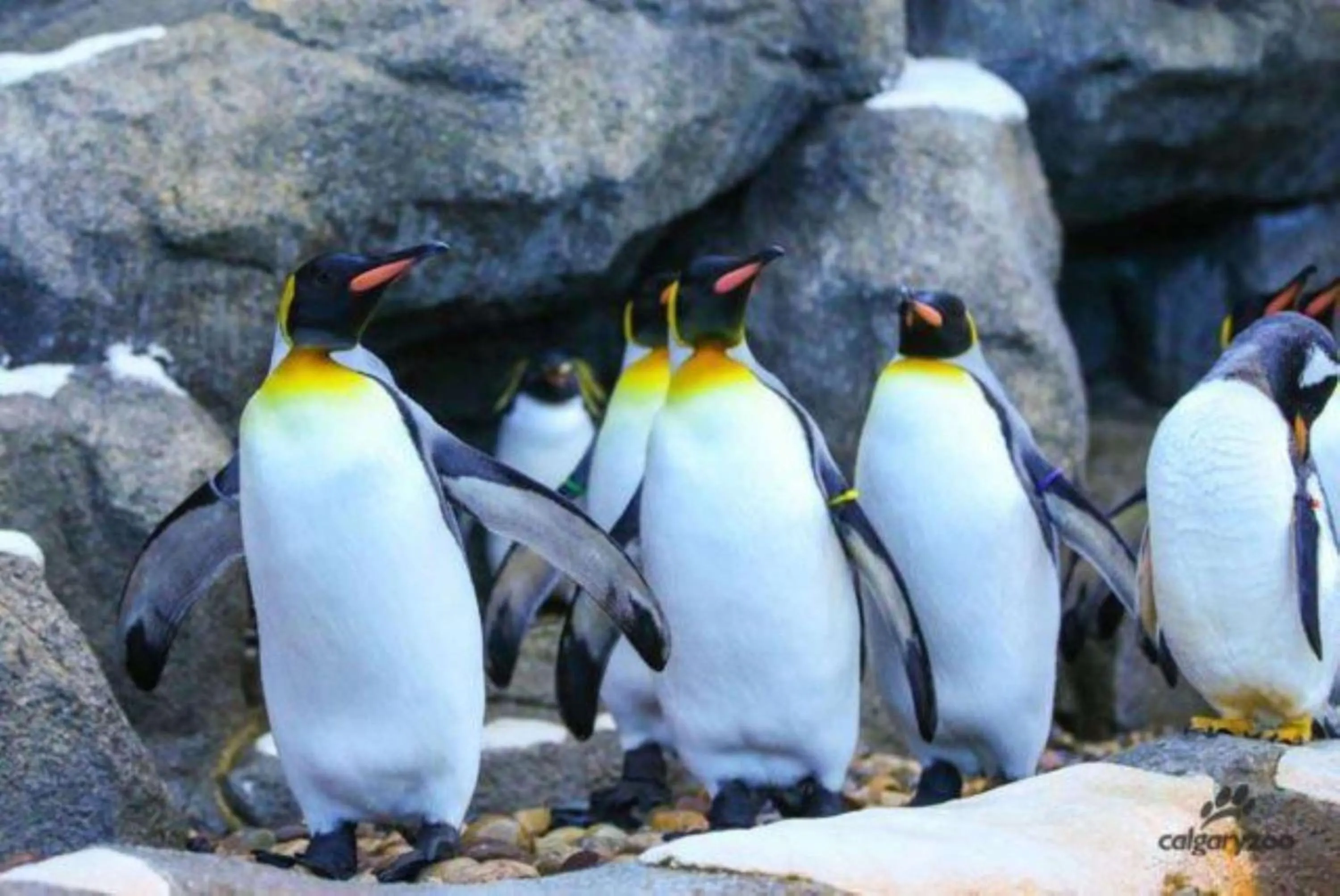 Other in Best Western Plus Village Park Inn