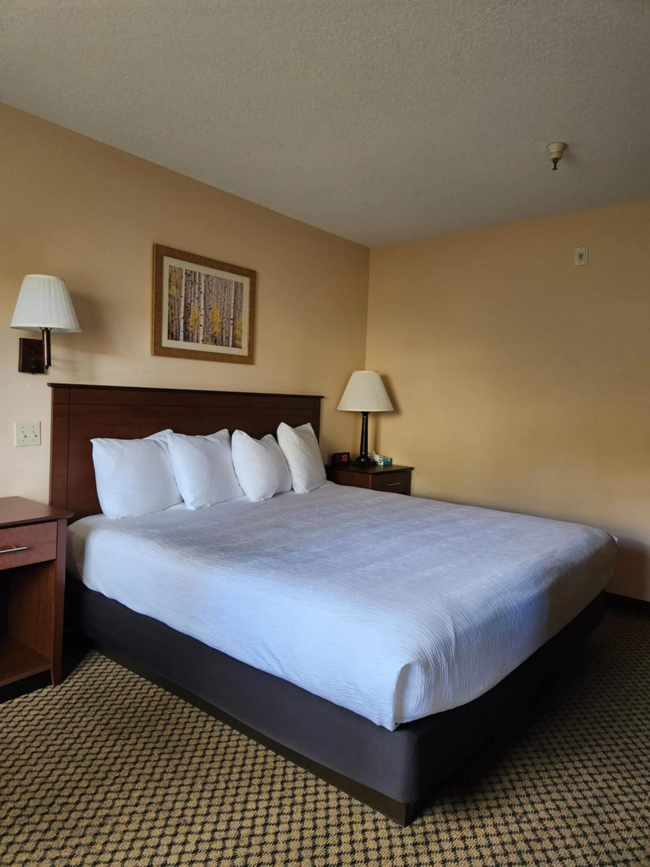Bed in Luxury Inn & Suites