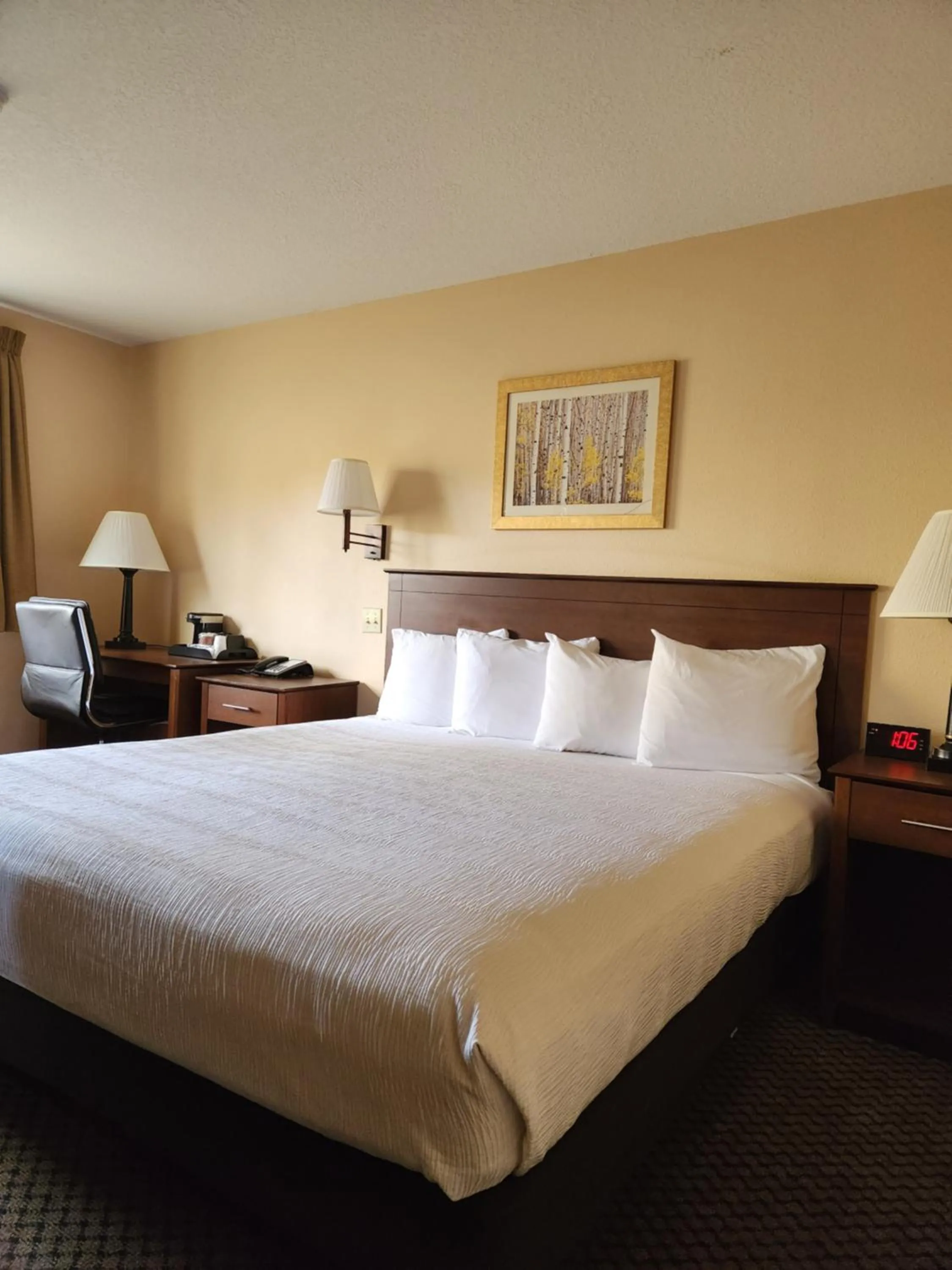 Photo of the whole room, Bed in Luxury Inn & Suites