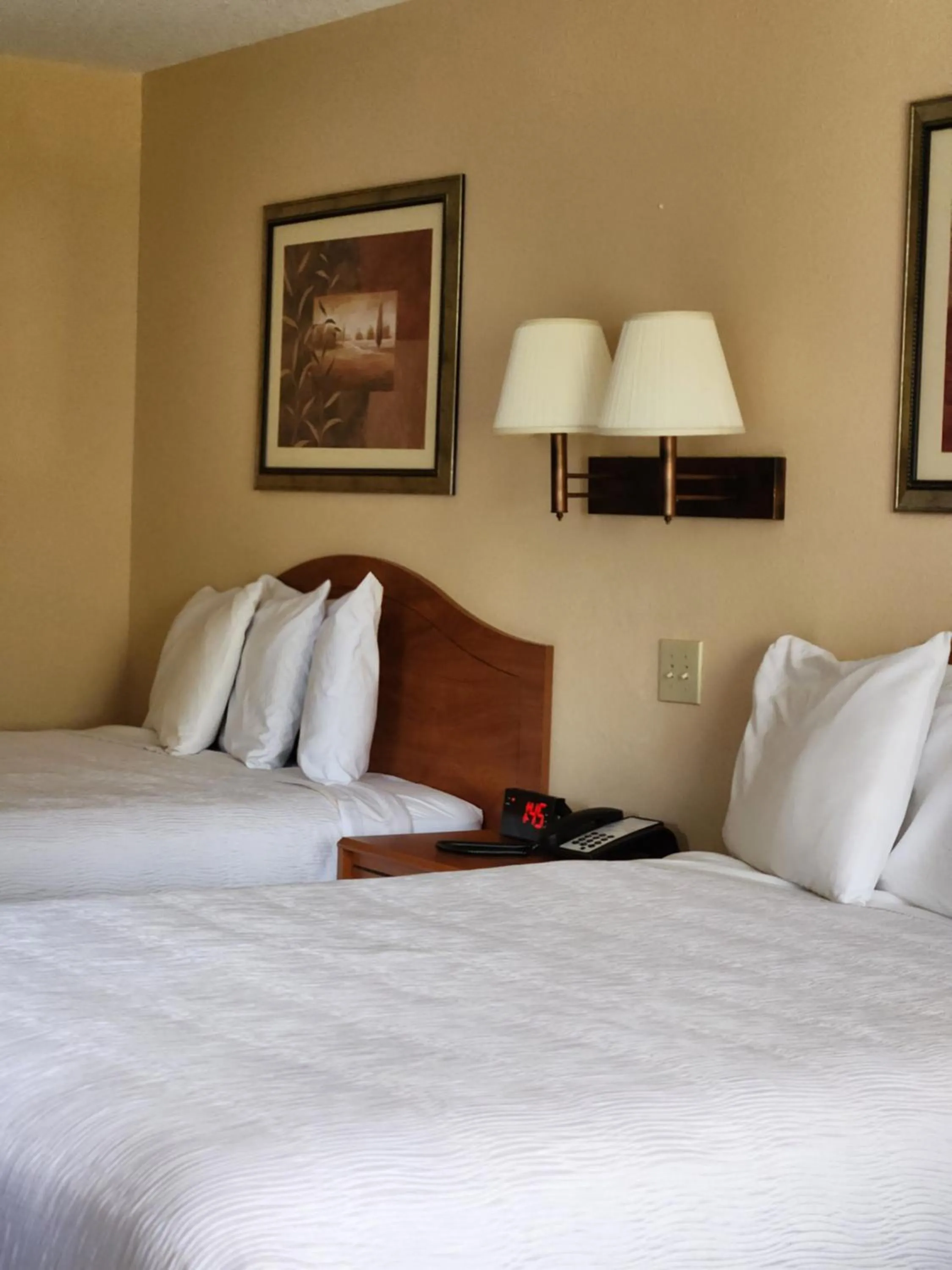 Bedroom, Bed in Luxury Inn & Suites