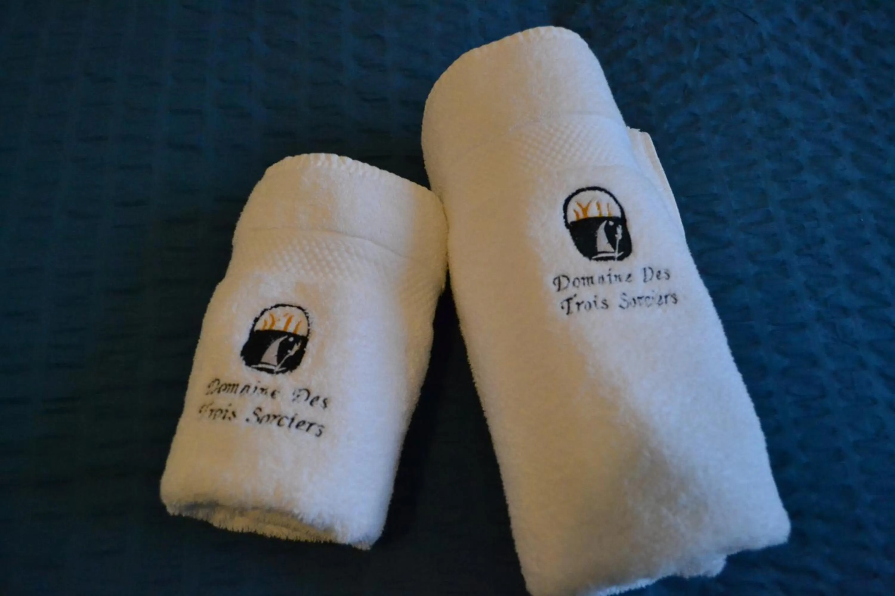 Property logo or sign in Domaine des Trois Sorciers