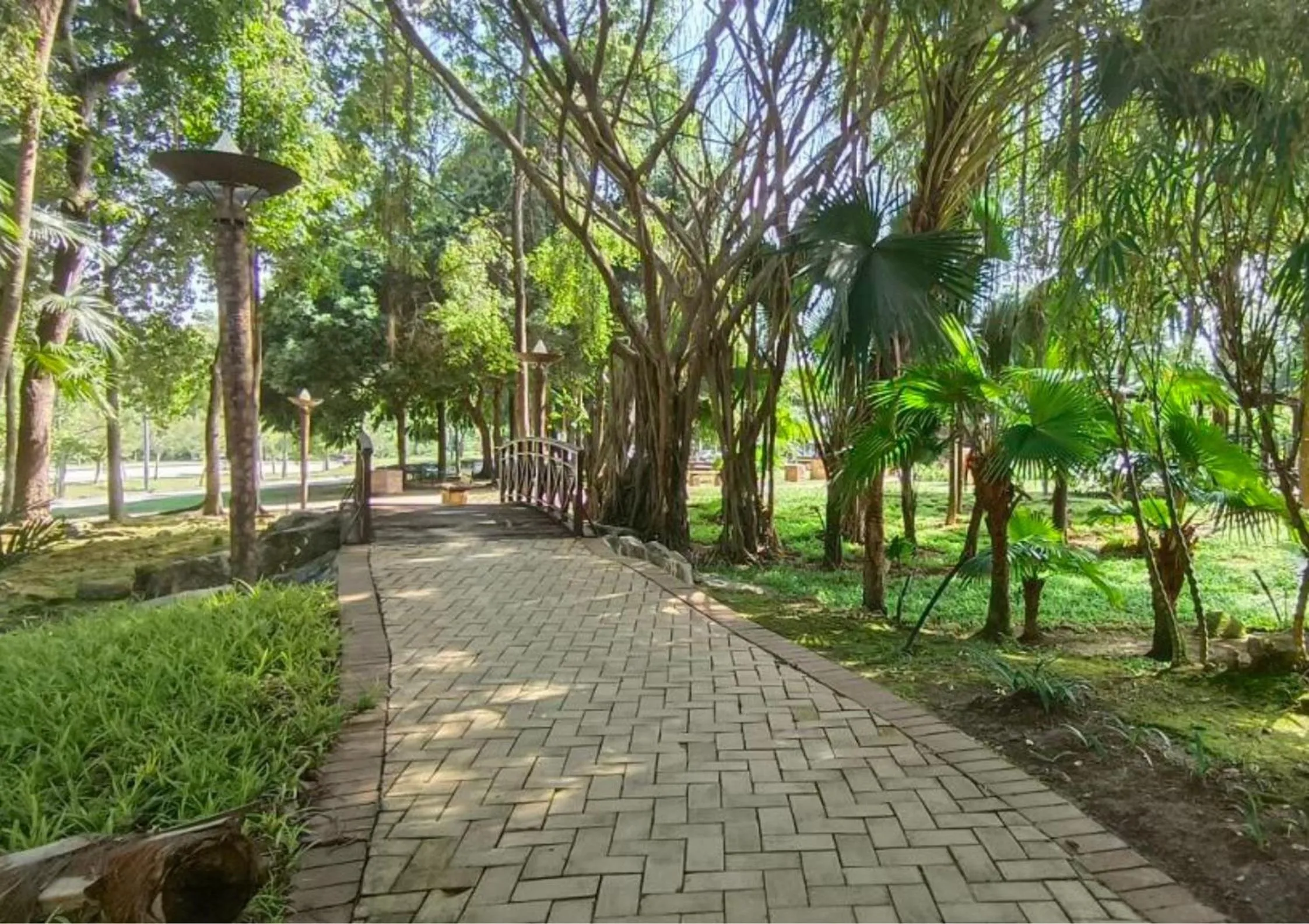 Spring in Cozy Park View Stay Above DPulze Mall #DP1