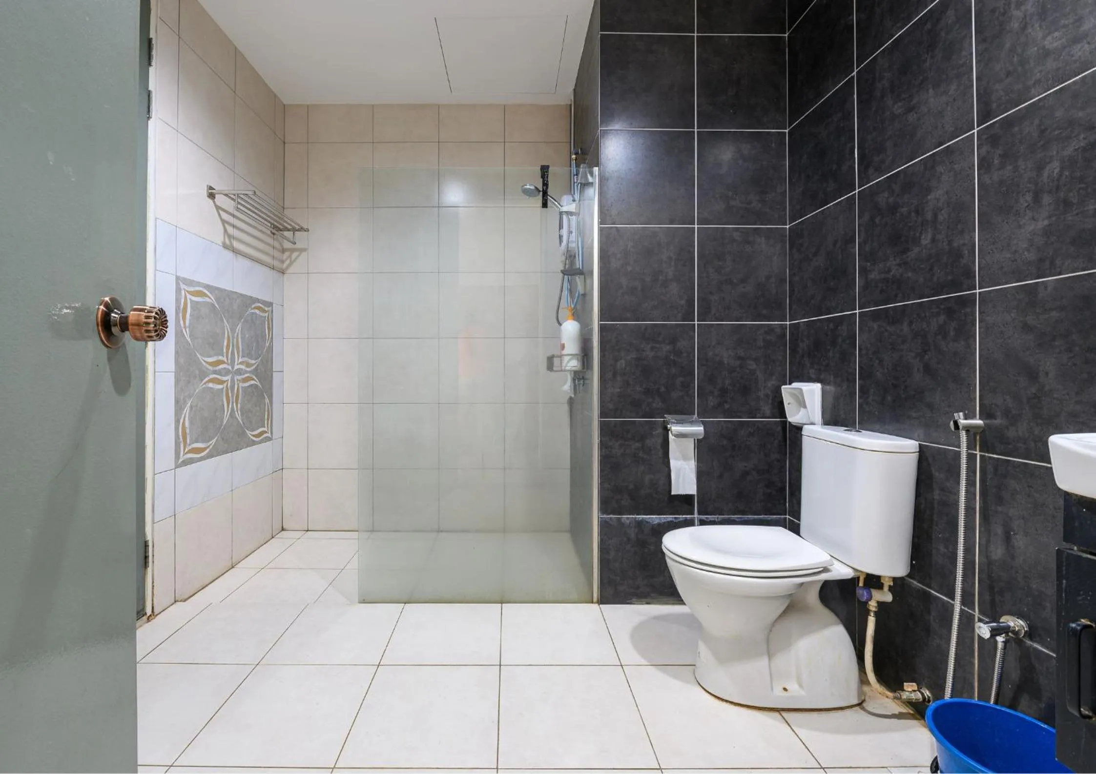 Shower in Cozy Park View Stay Above DPulze Mall #DP1