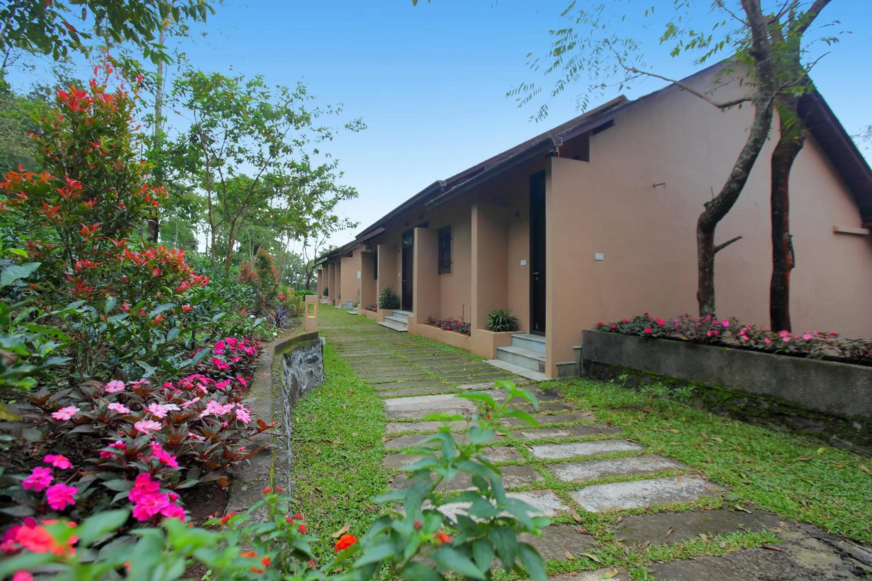 View (from property/room) in Tea Terrain Resorts & Spa