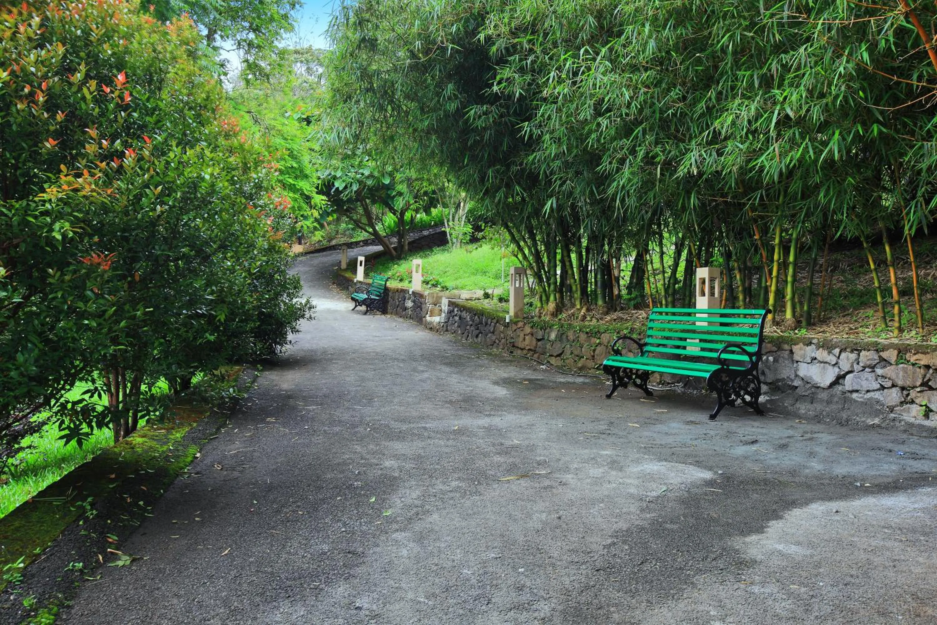 Other in Tea Terrain Resorts & Spa