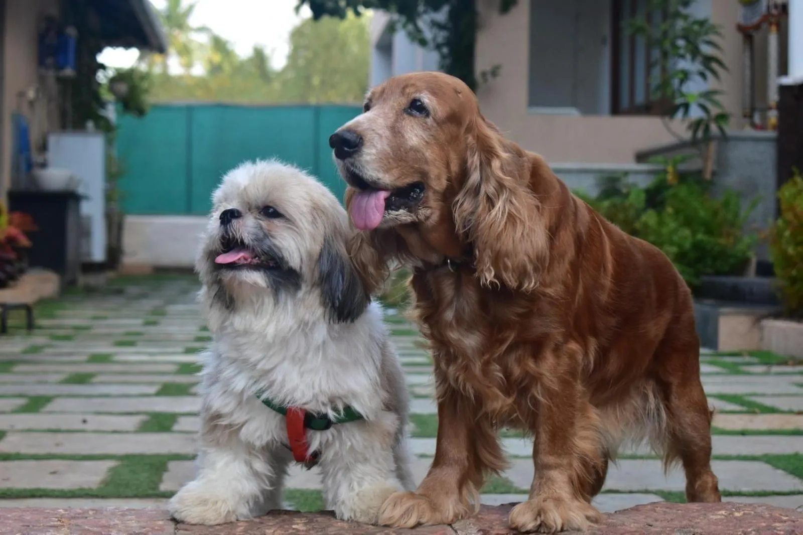 Property building in Coastal Bay Inn by Green Apple Stays