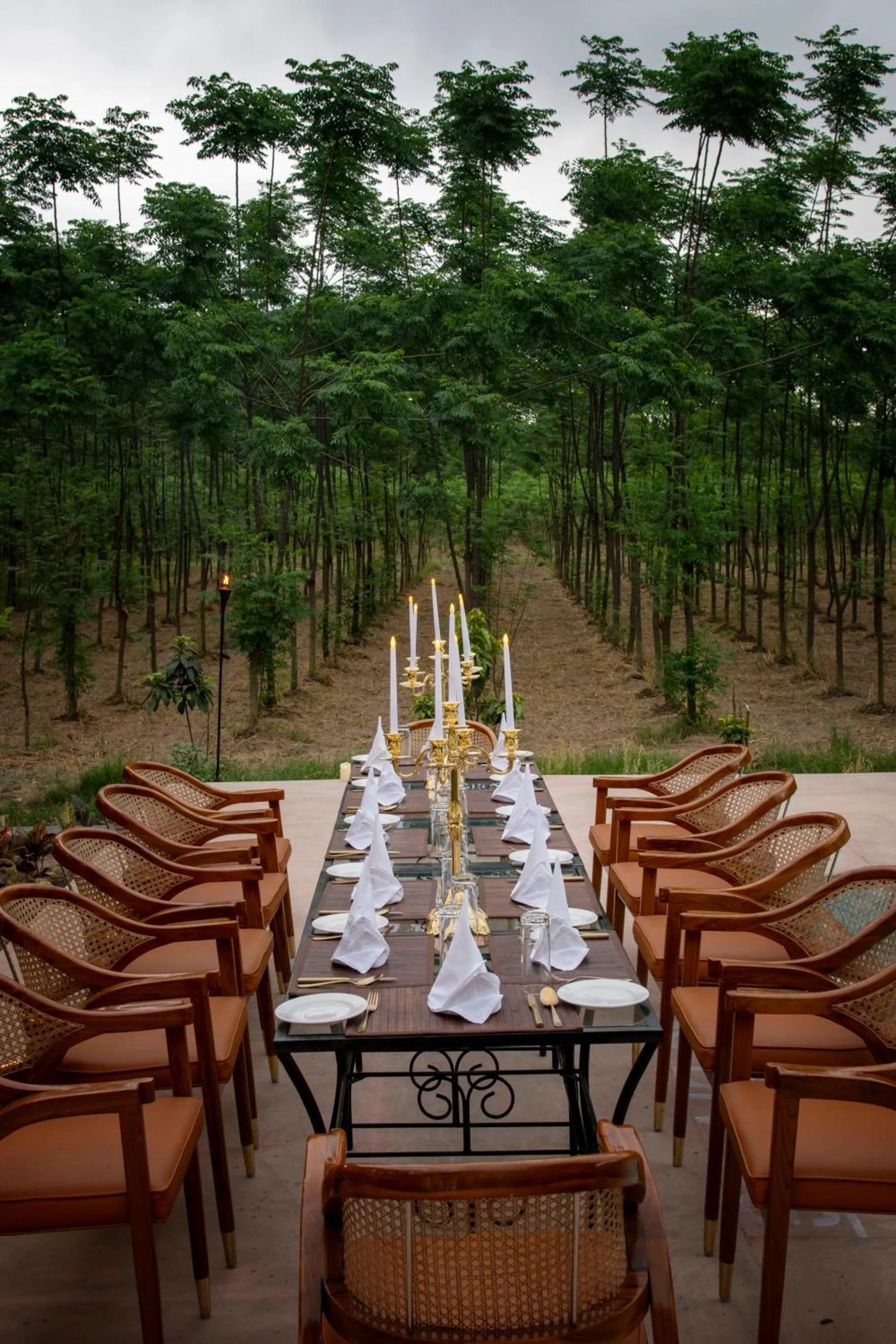 Dinner in Aalia Jungle Retreat and Spa, Bandarjudh, Haridwar - Araiya Anthology