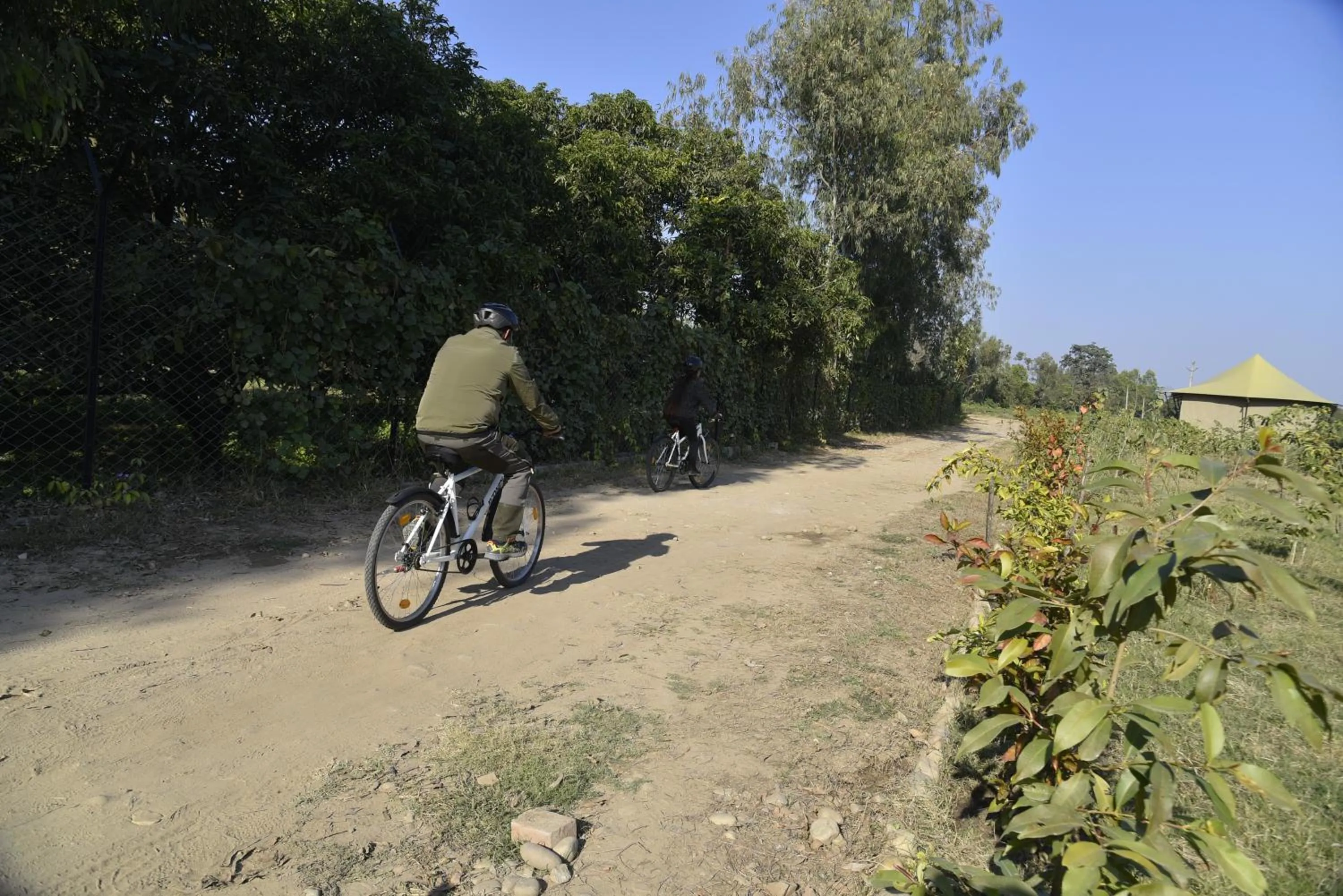 Activities in Aalia Jungle Retreat and Spa, Bandarjudh, Haridwar - Araiya Anthology