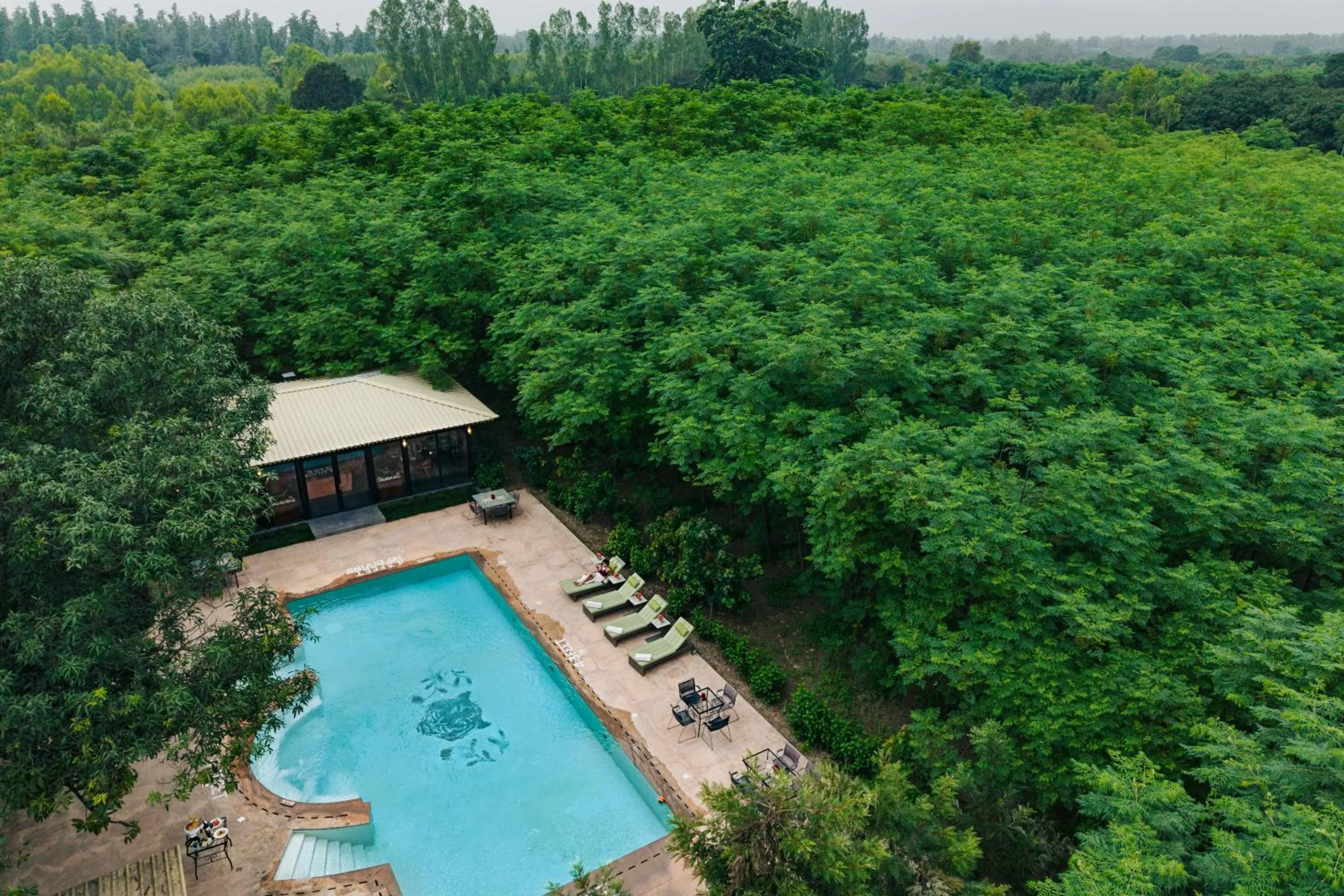 Swimming pool in Aalia Jungle Retreat and Spa, Bandarjudh, Haridwar - Araiya Anthology