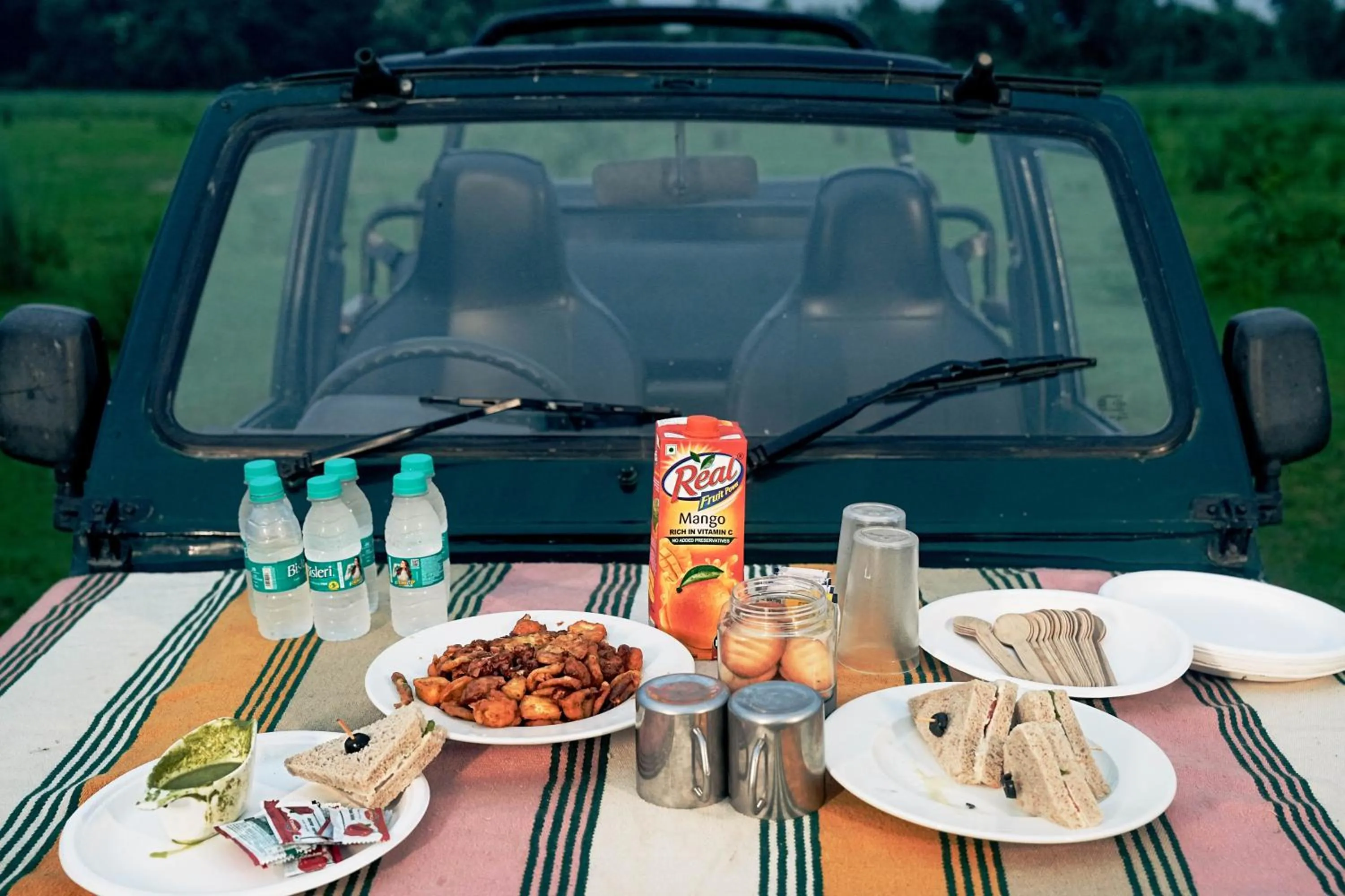 Activities in Aalia Jungle Retreat and Spa, Bandarjudh, Haridwar - Araiya Anthology