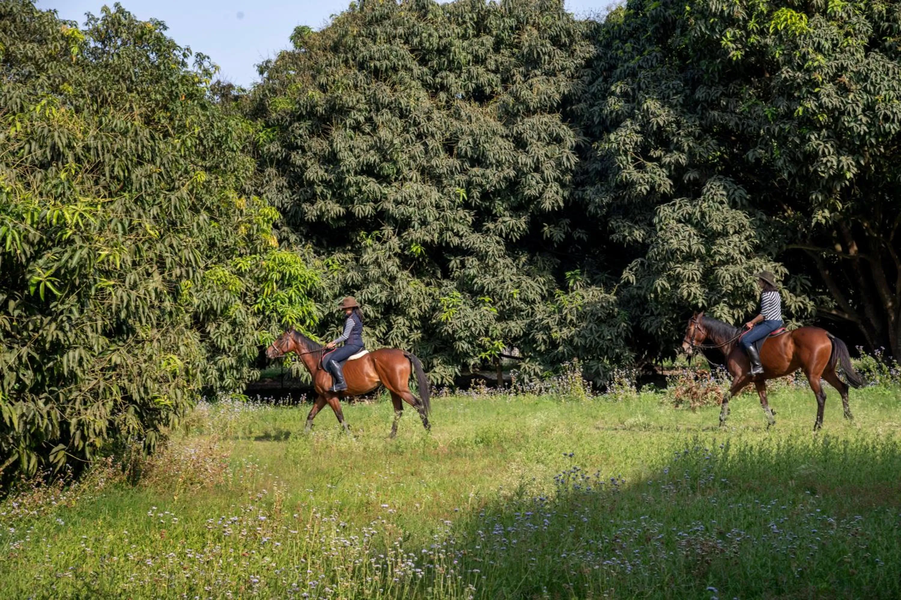 Horse-riding in Aalia Jungle Retreat and Spa, Bandarjudh, Haridwar - Araiya Anthology