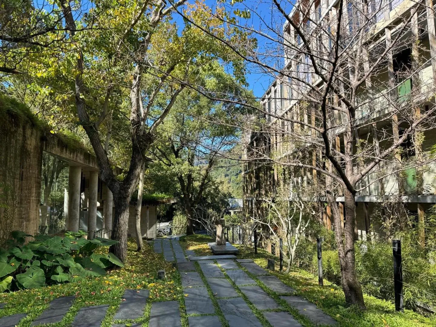 Property building in Onsen Papawaqa