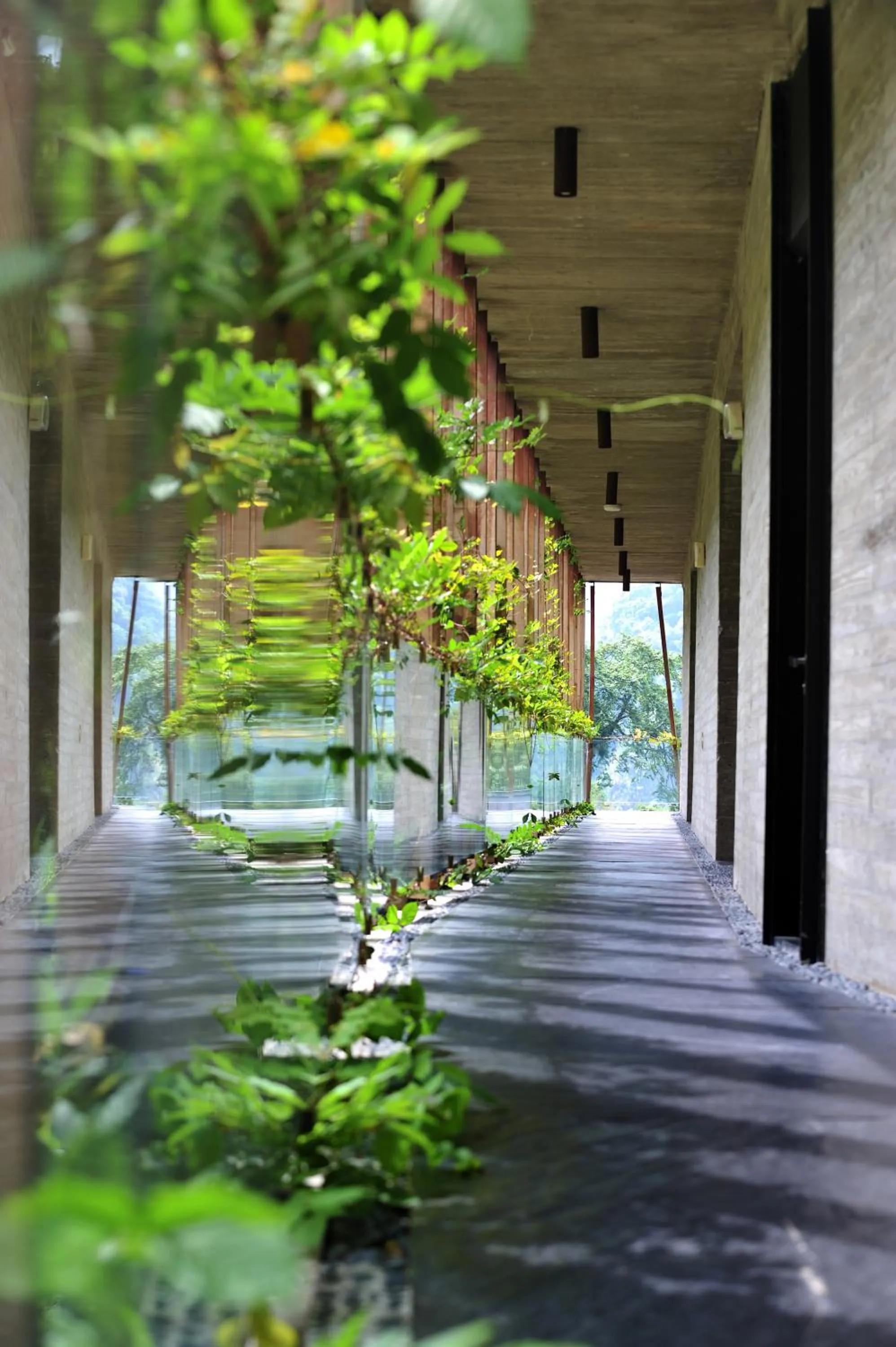 Day in Onsen Papawaqa