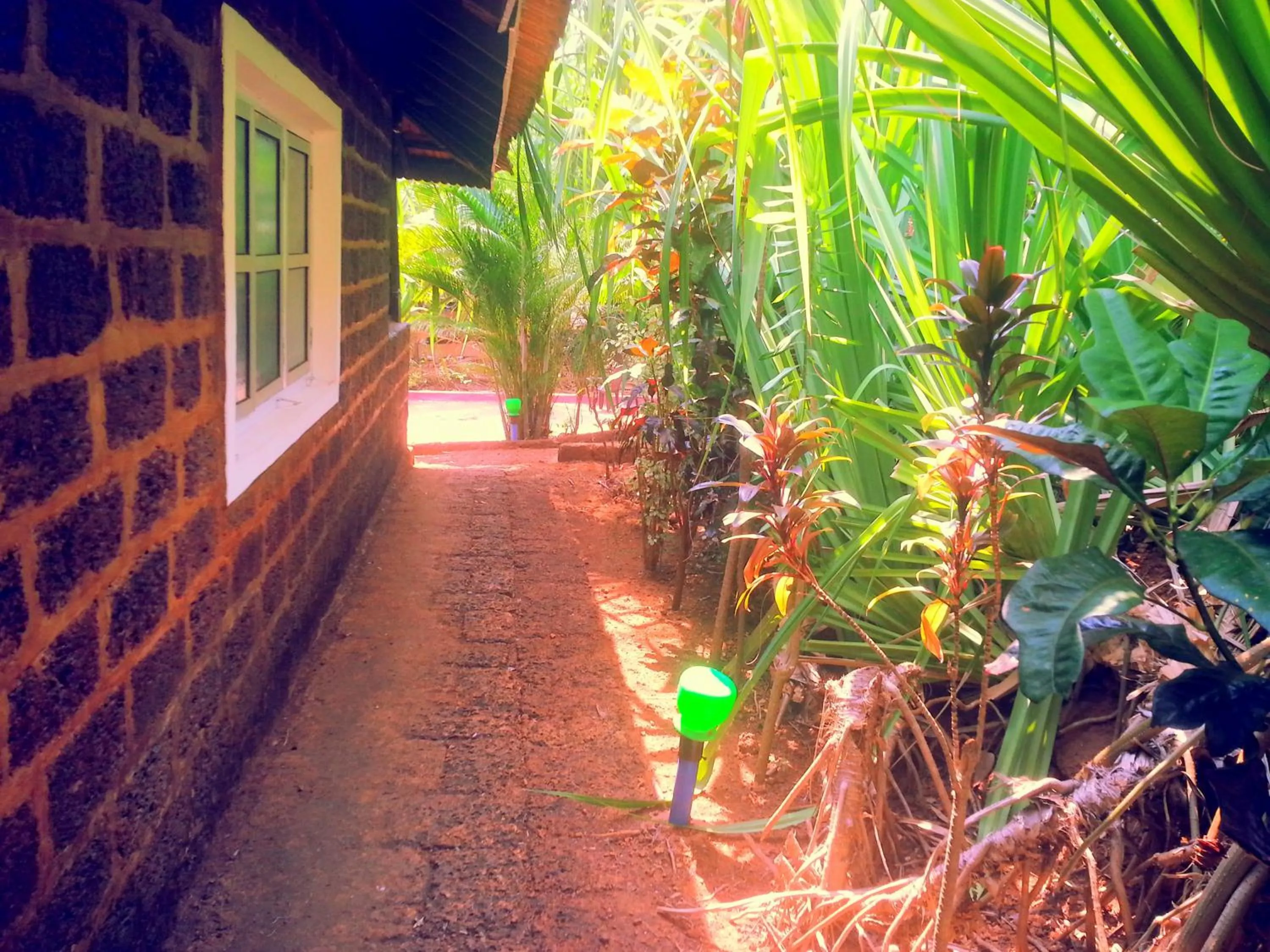 Garden in Namaste Yoga Farm