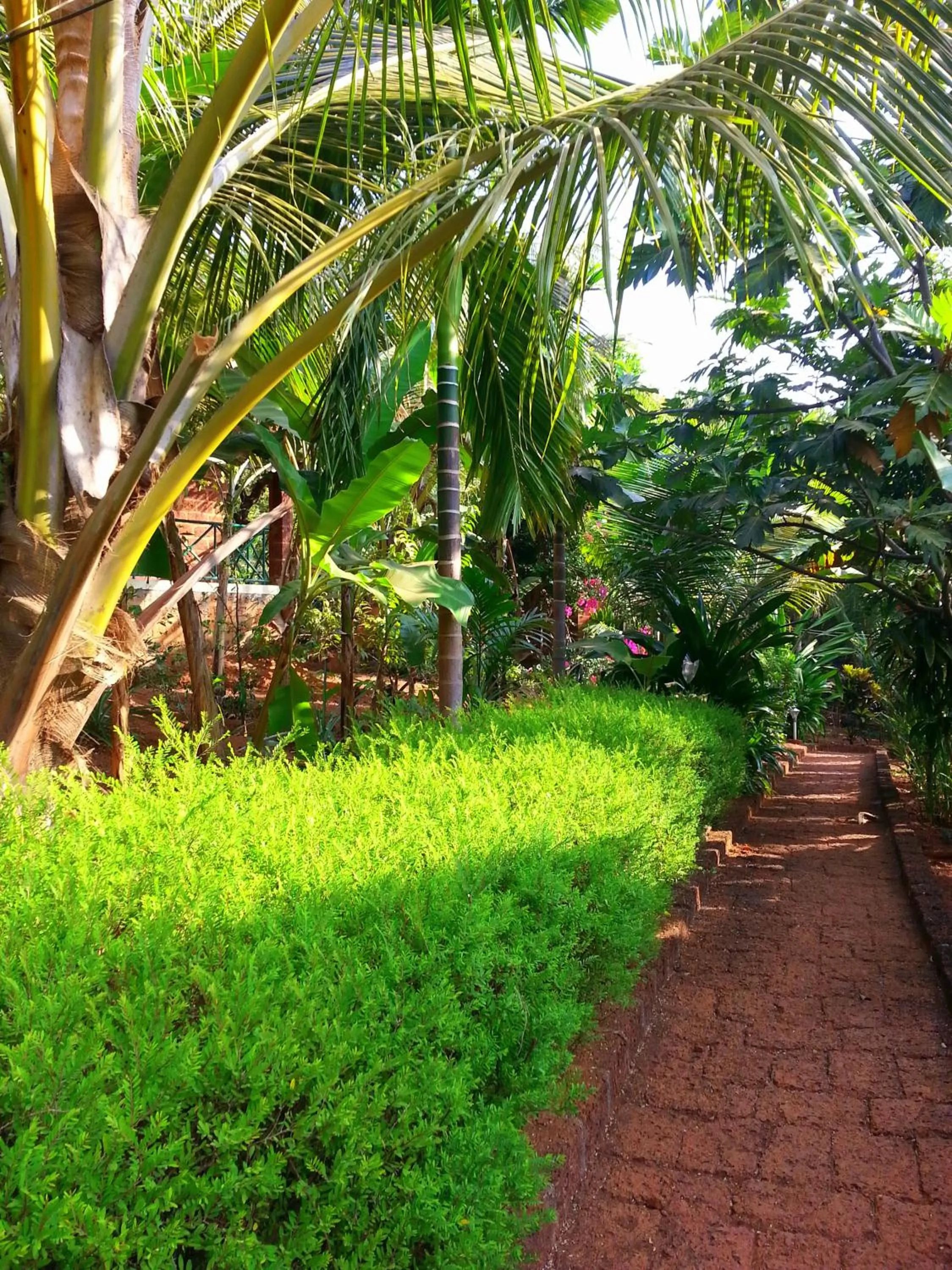 Garden in Namaste Yoga Farm